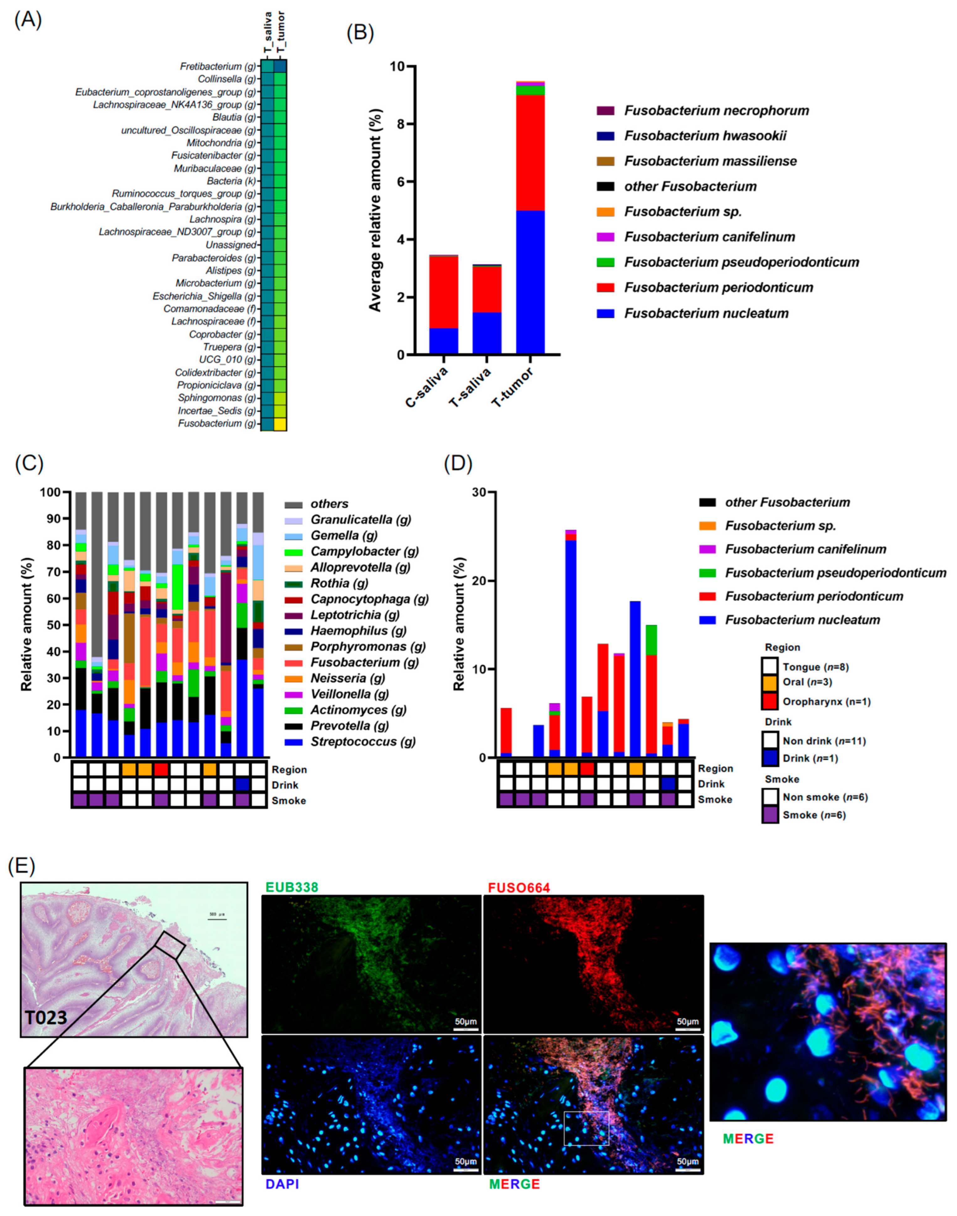 Microorganisms 11 02957 g003