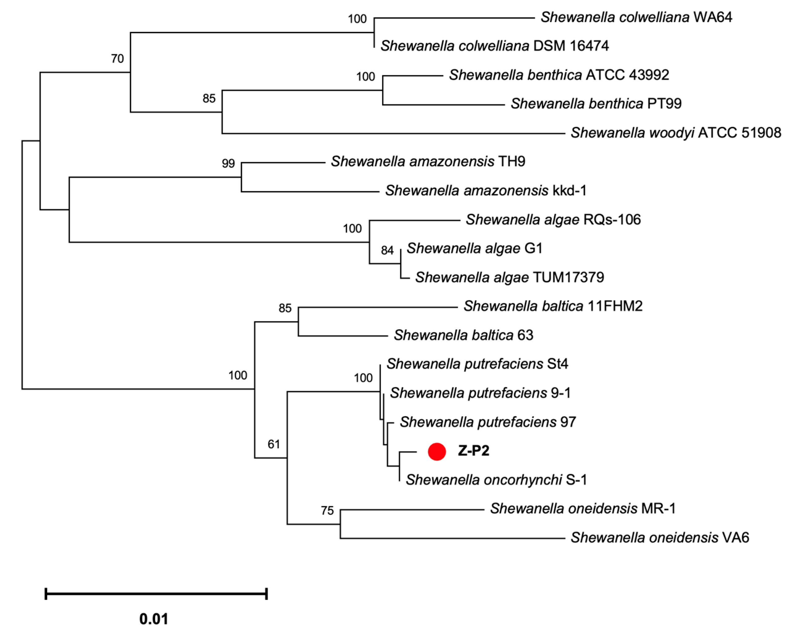 Microorganisms 11 02961 g004