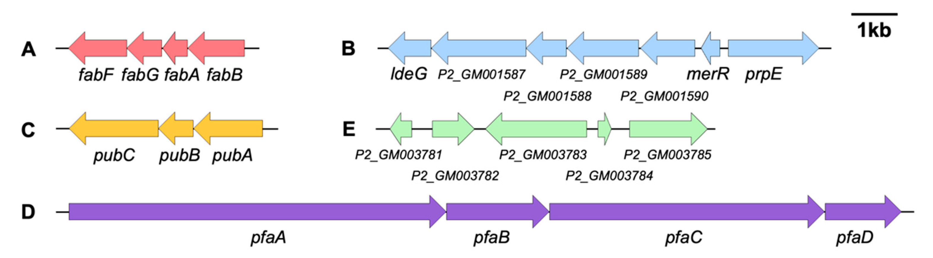 Microorganisms 11 02961 g005