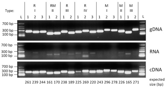 Microorganisms 11 02962 g0a1
