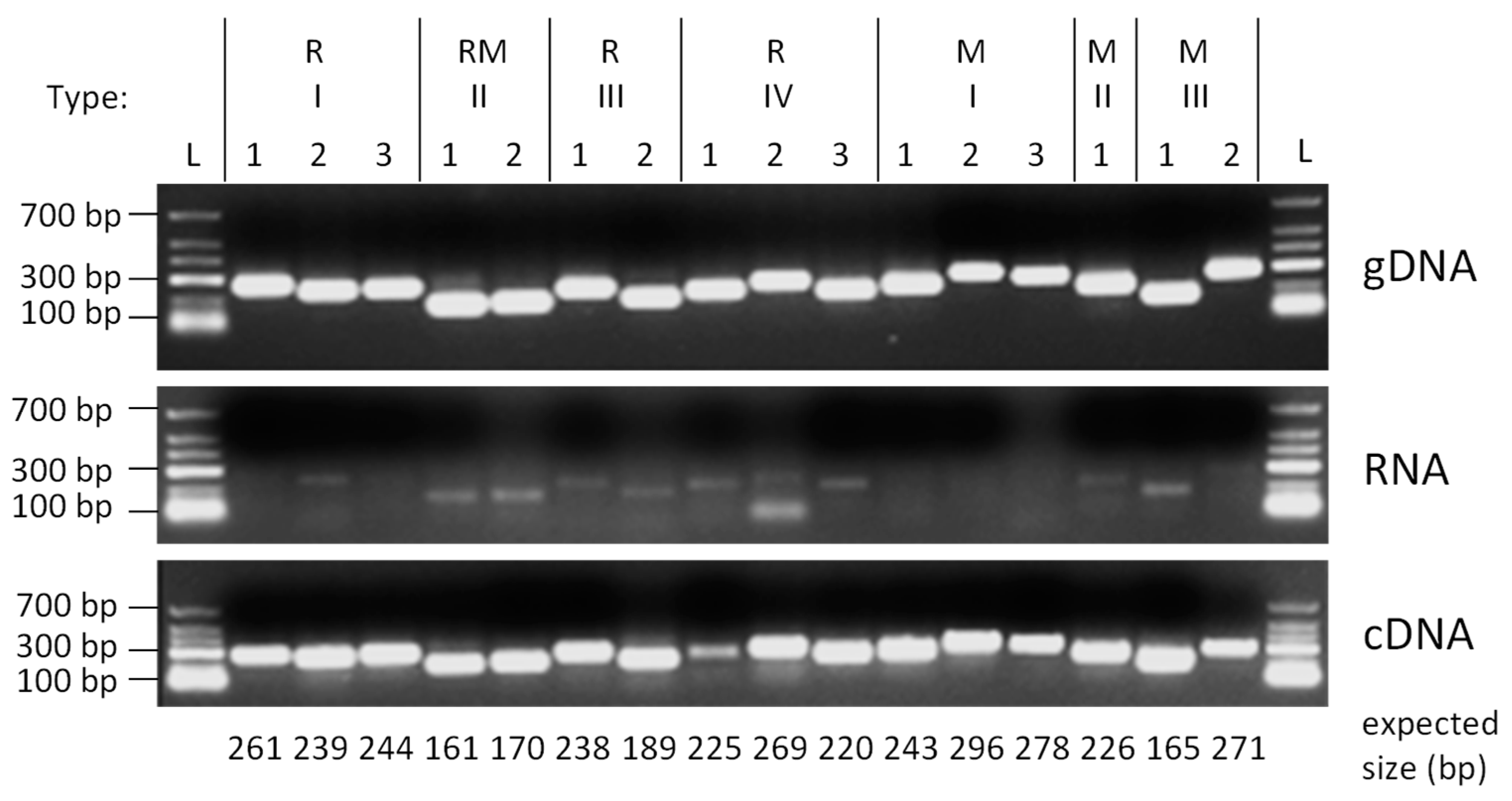 Microorganisms 11 02962 g0a1