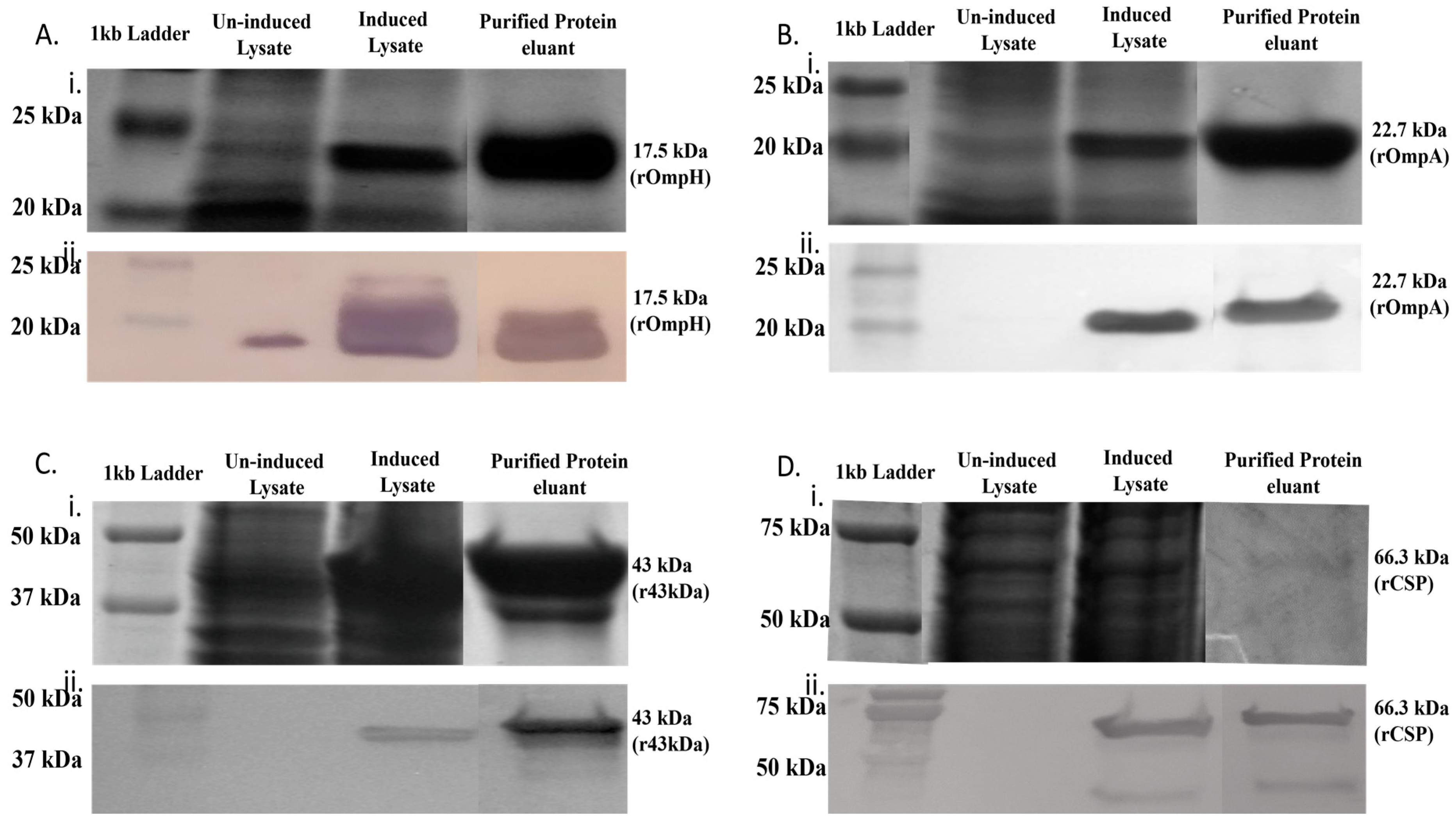 Microorganisms 11 02968 g002 Microorganisms 11 02968 g002