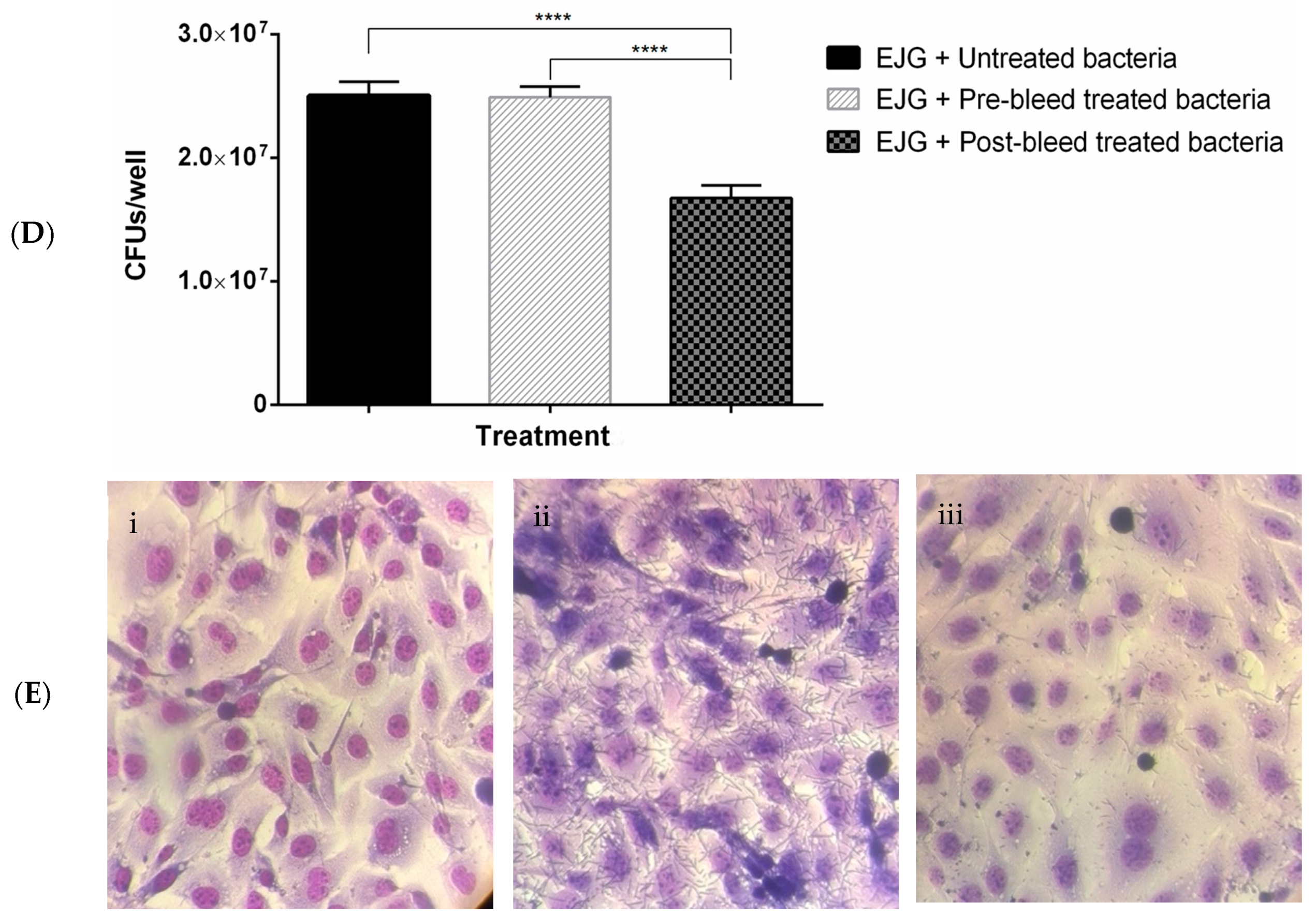 Microorganisms 11 02968 g004b Microorganisms 11 02968 g004b