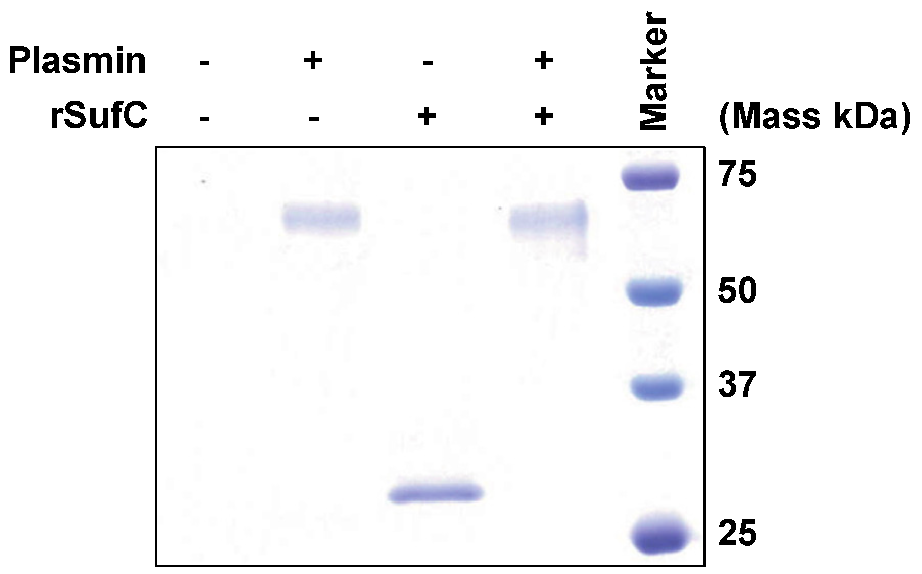 Microorganisms 11 02969 g004 Microorganisms 11 02969 g004