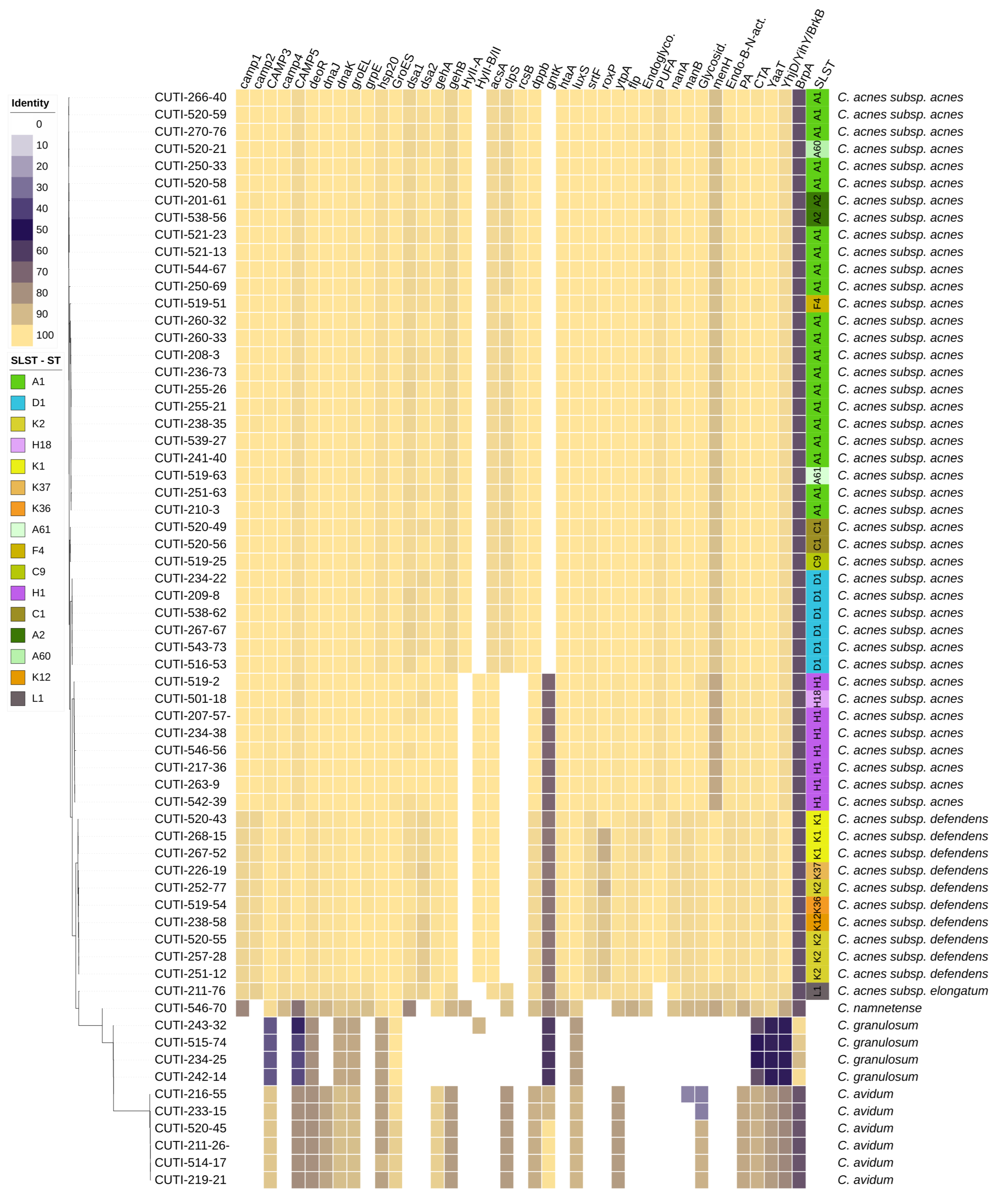 Microorganisms 11 02971 g001