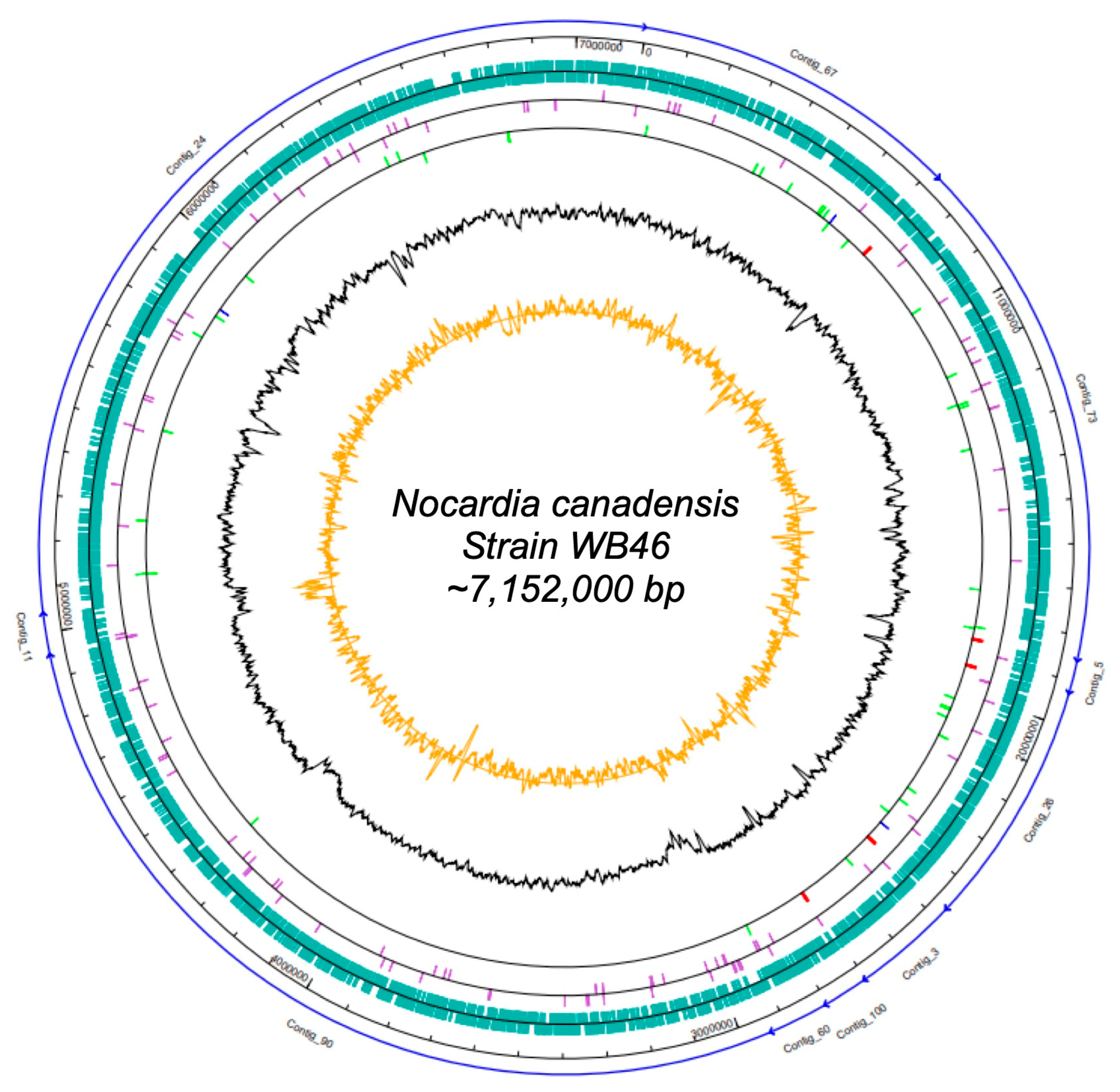 Microorganisms 11 02972 g001
