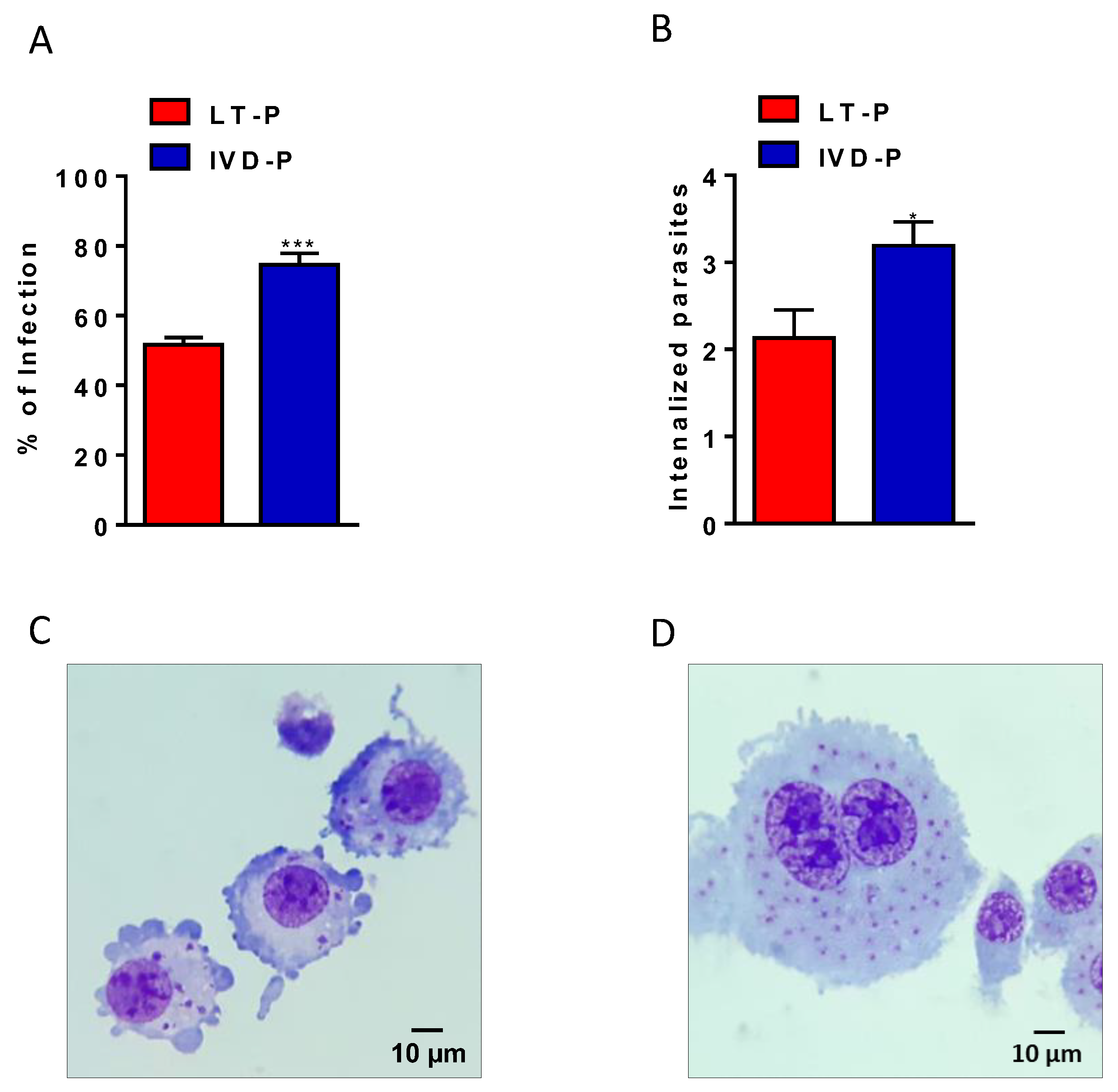 Microorganisms 11 02973 g004