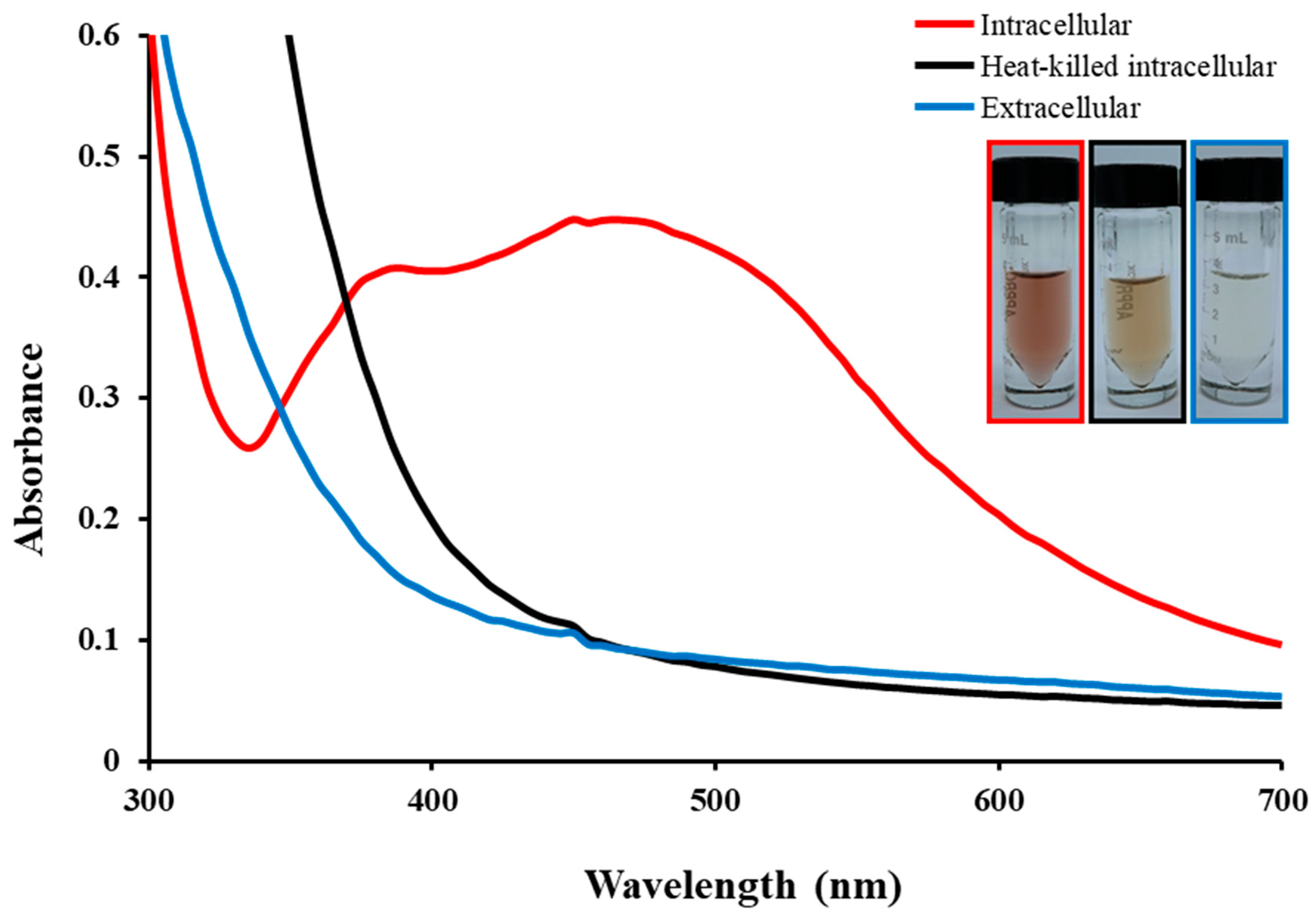 Microorganisms 11 02975 g001