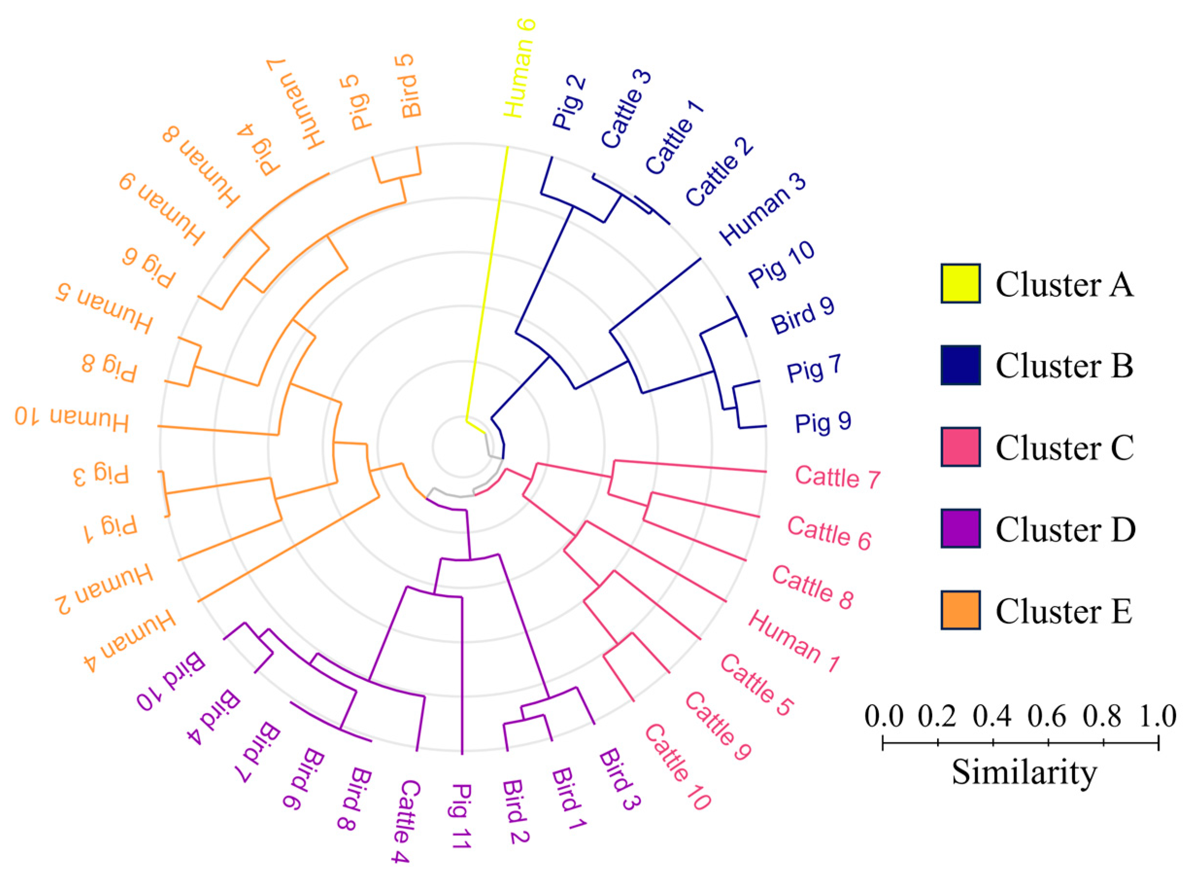 Microorganisms 11 02981 g003