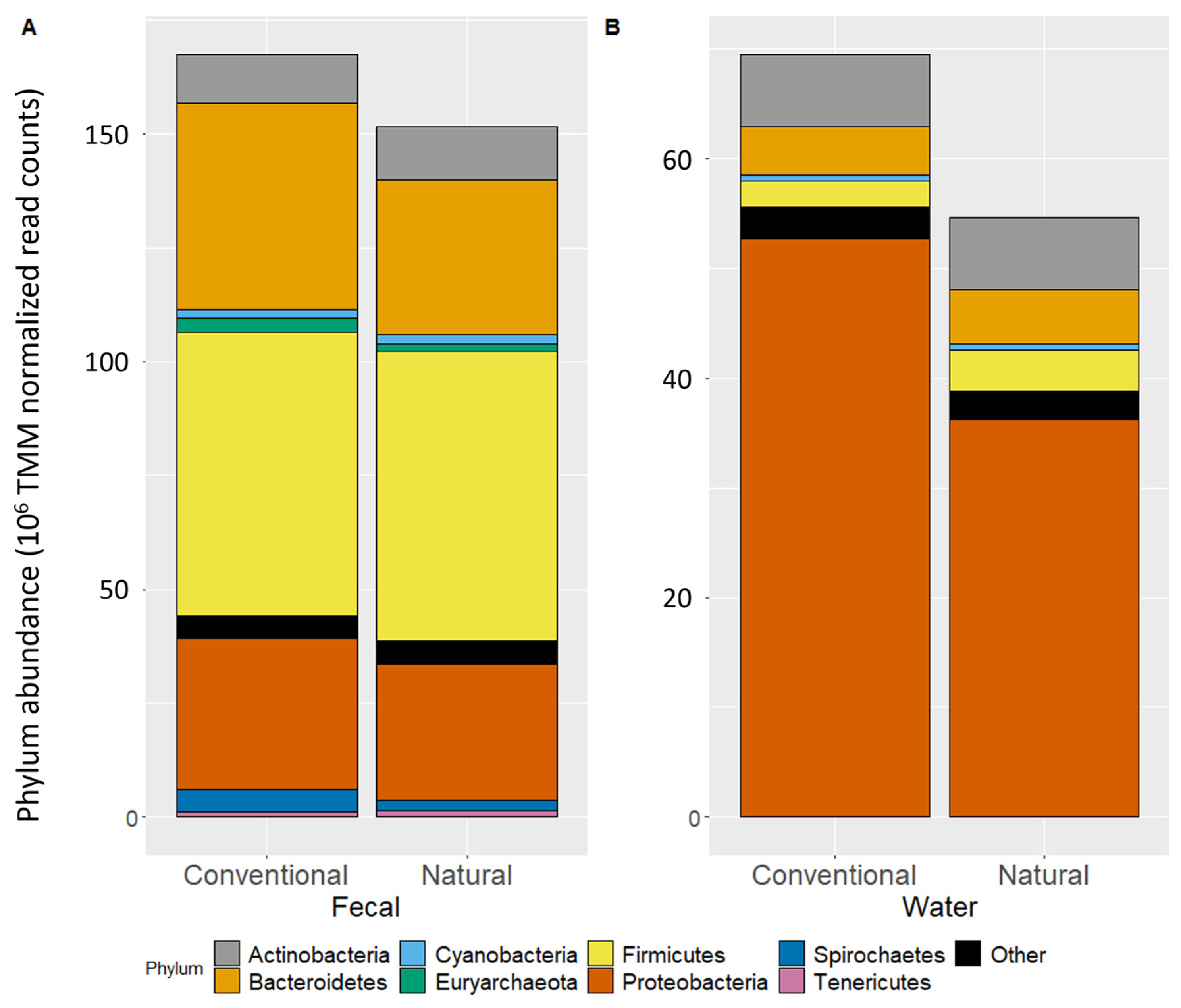 Microorganisms 11 02982 g001