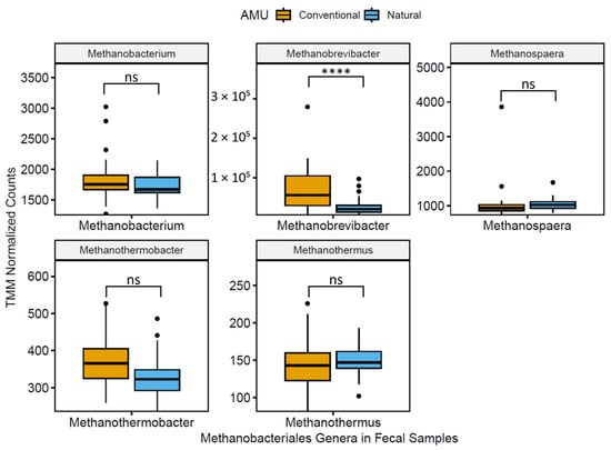 Microorganisms 11 02982 g002