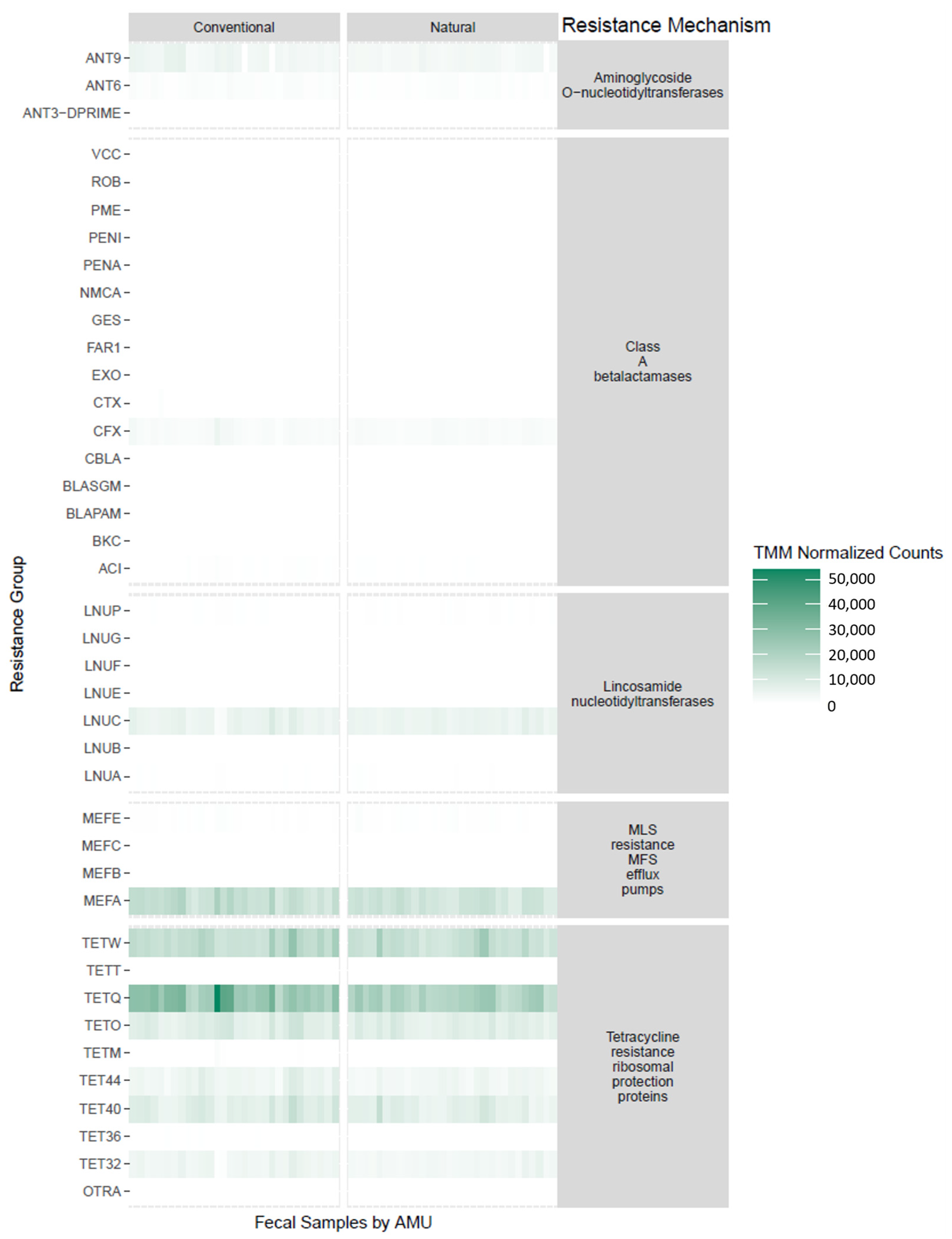 Microorganisms 11 02982 g005