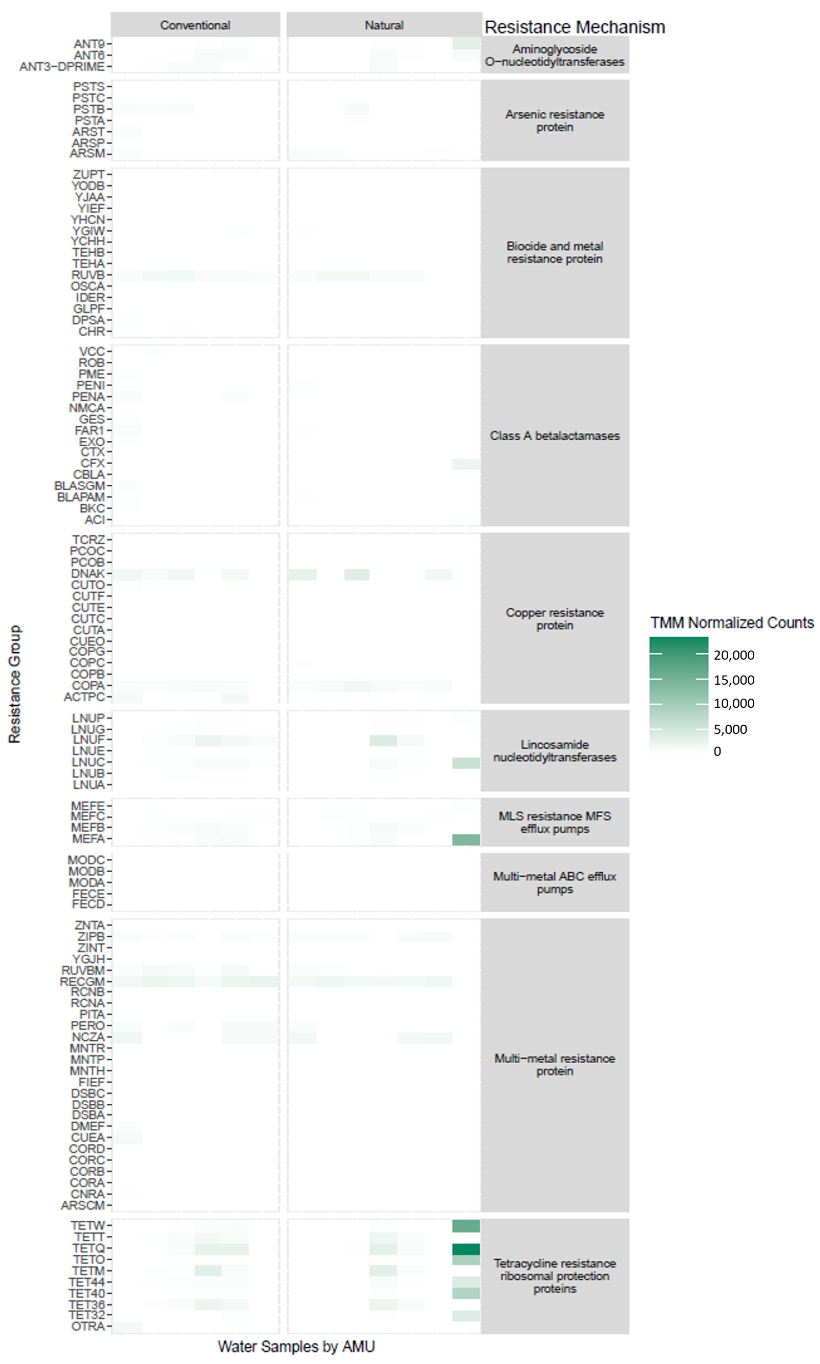 Microorganisms 11 02982 g006