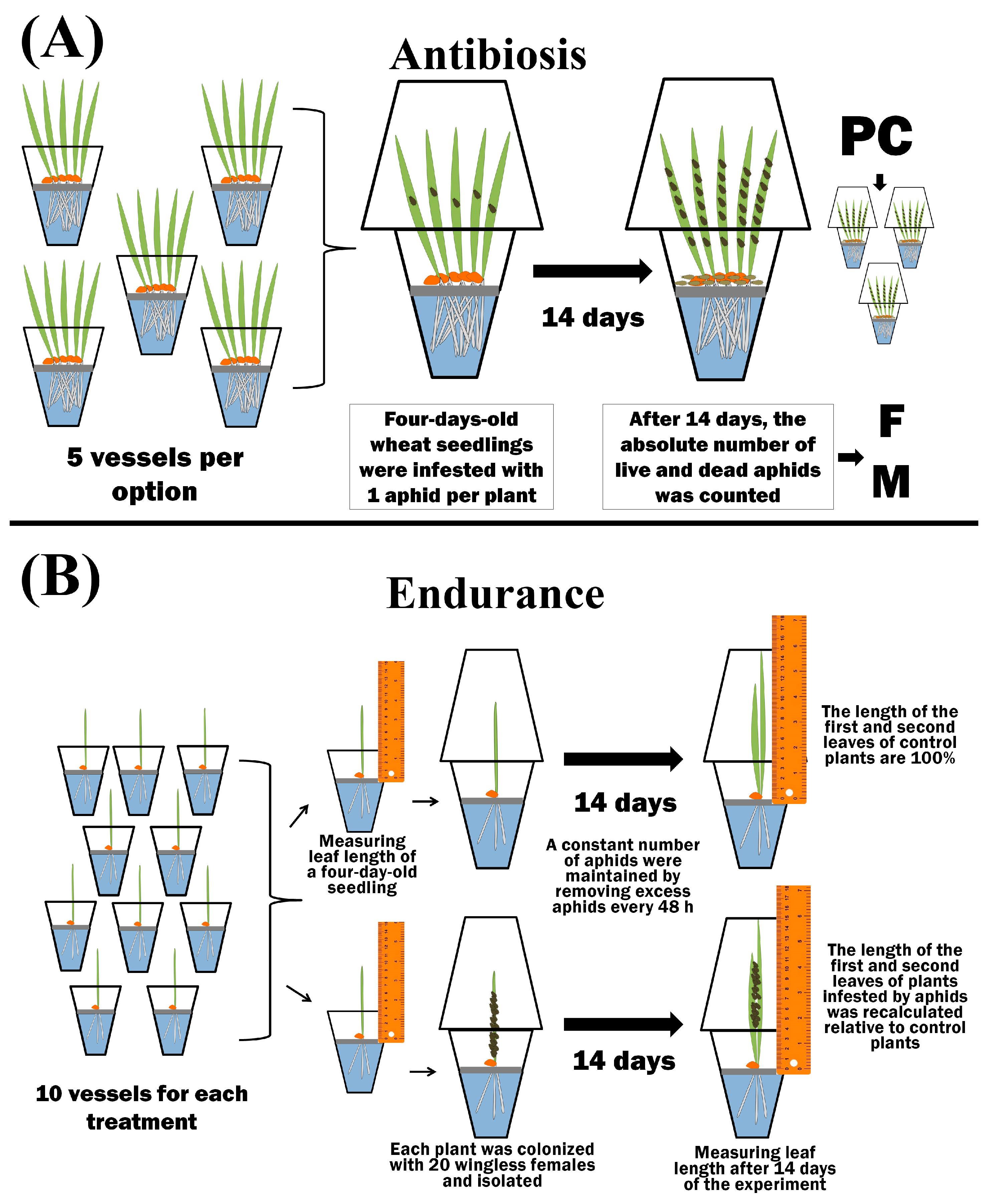Microorganisms 11 02983 g002