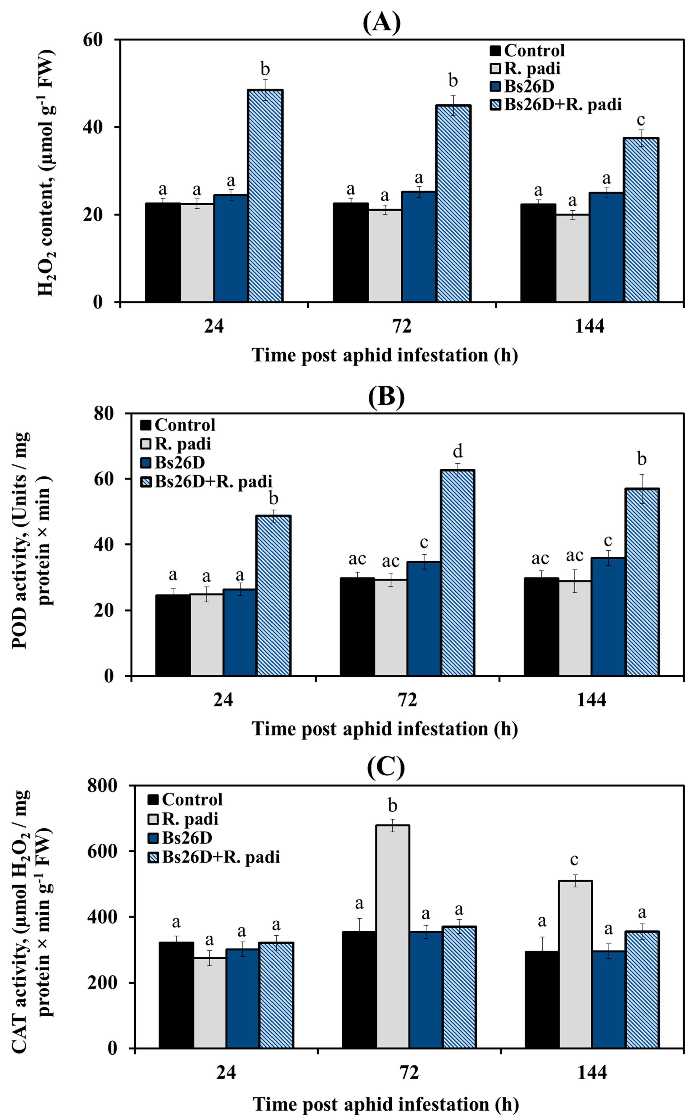 Microorganisms 11 02983 g003