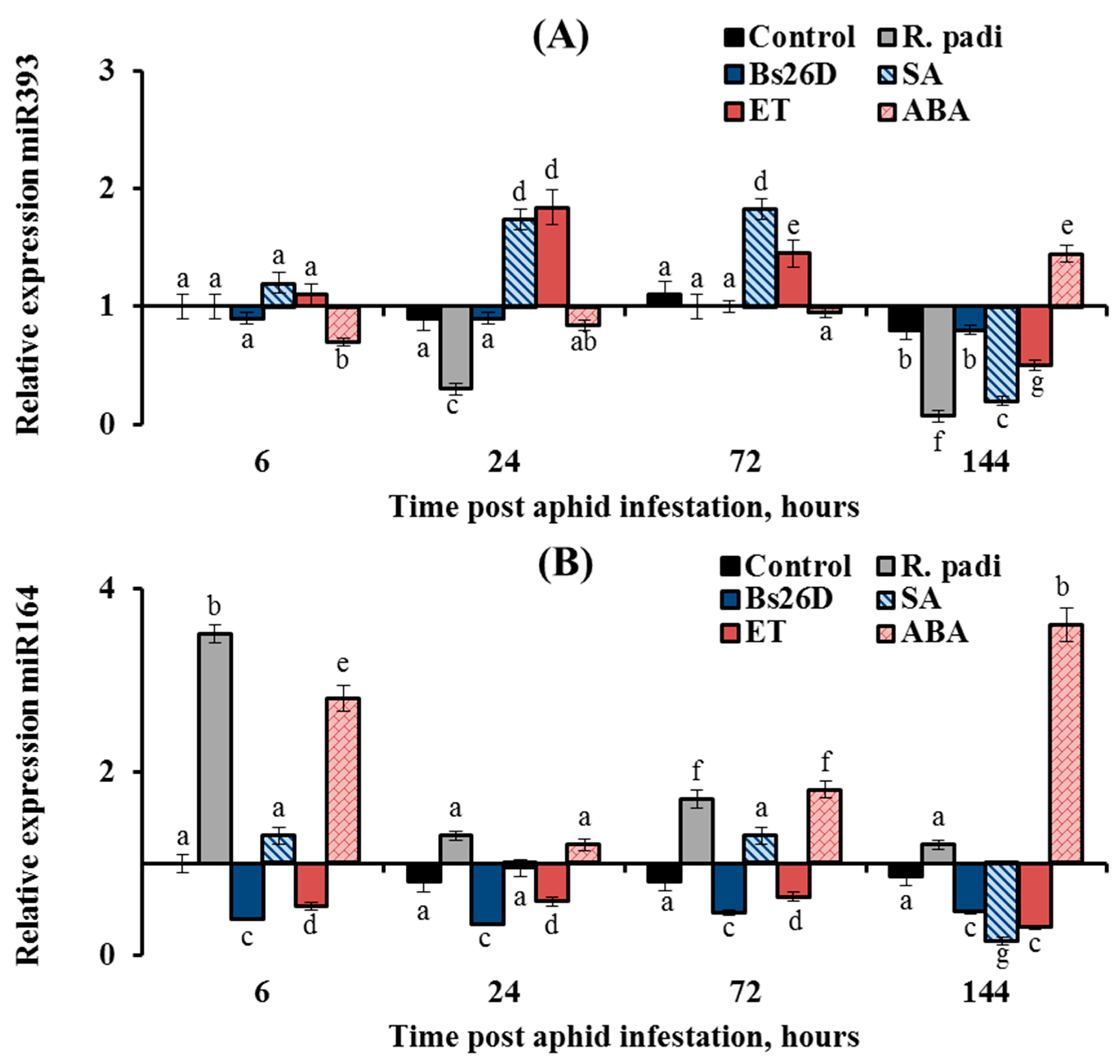 Microorganisms 11 02983 g008