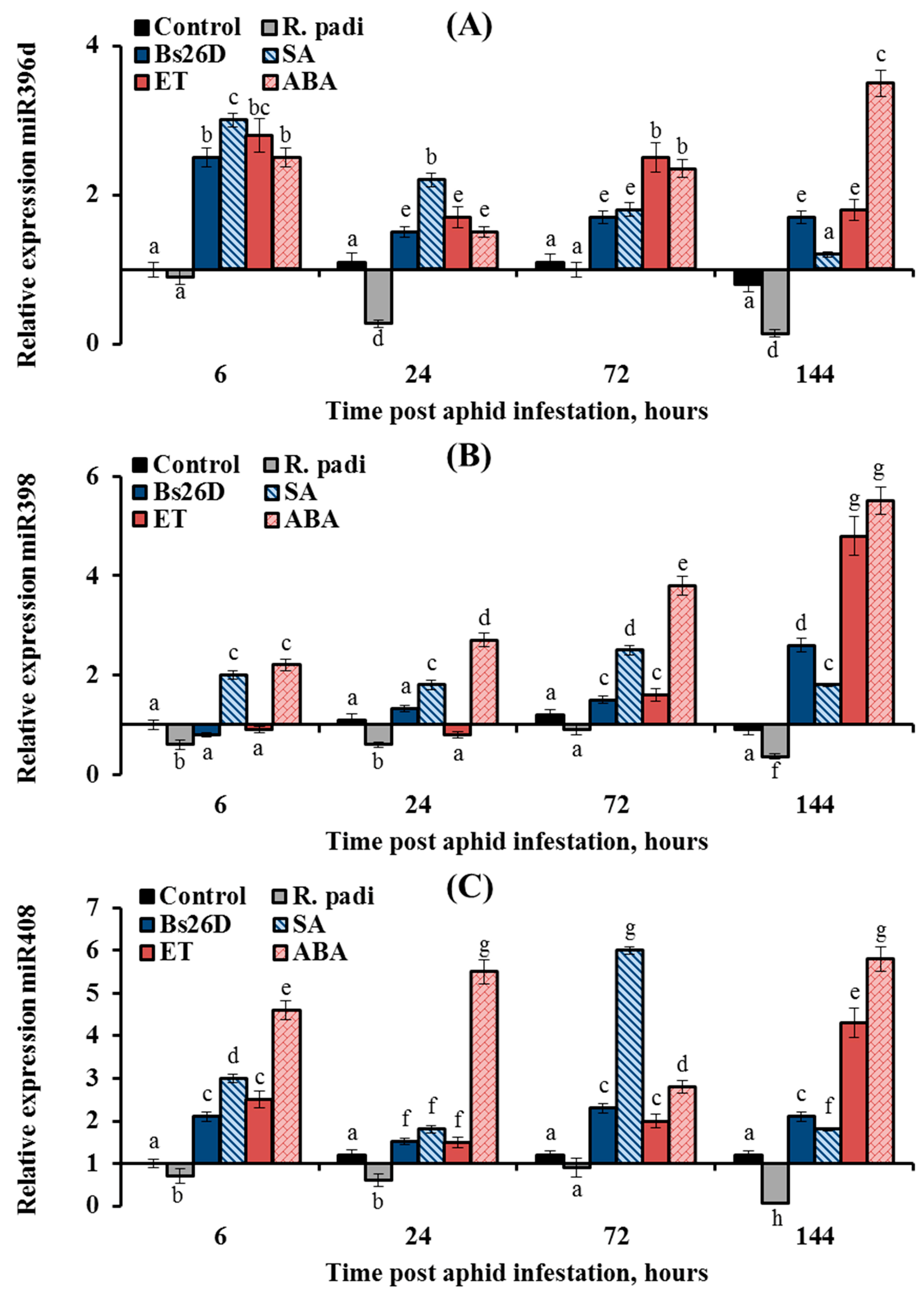 Microorganisms 11 02983 g010