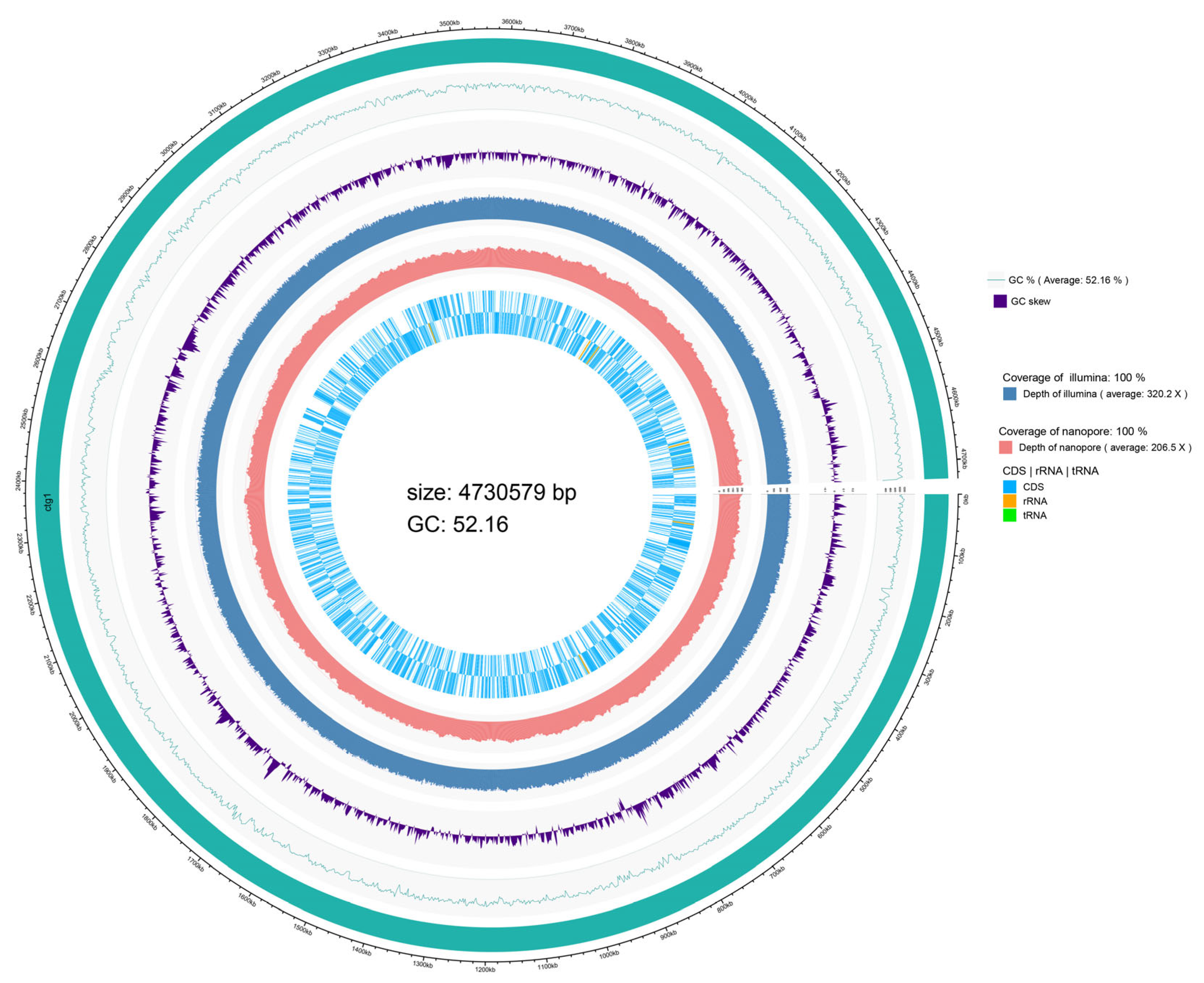 Microorganisms 11 02986 g001