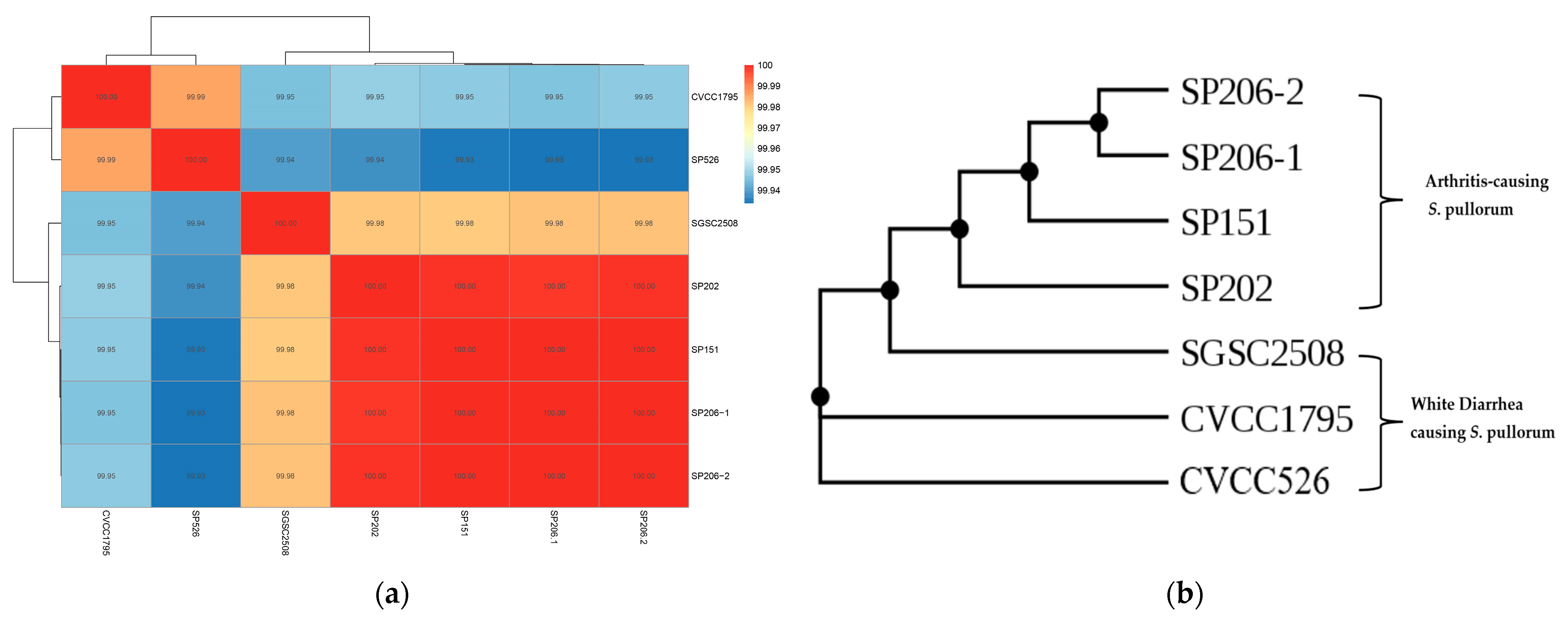 Microorganisms 11 02986 g002