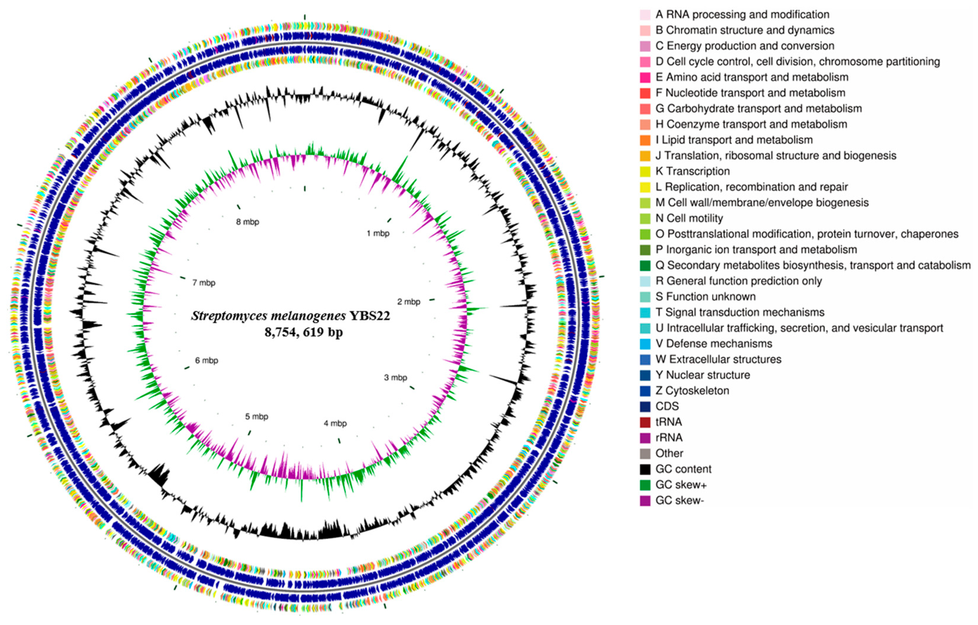 Microorganisms 11 02988 g003
