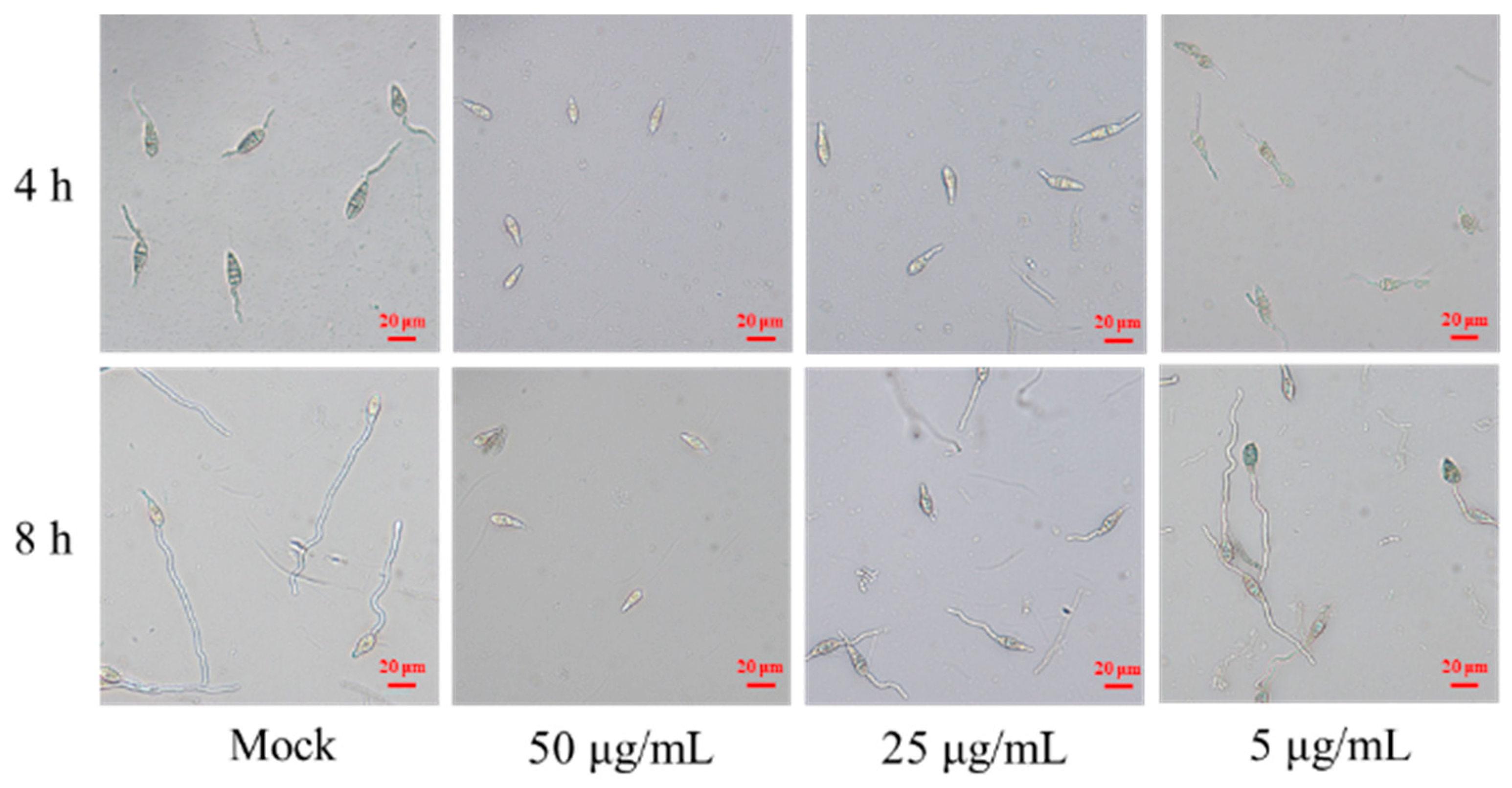 Microorganisms 11 02988 g006