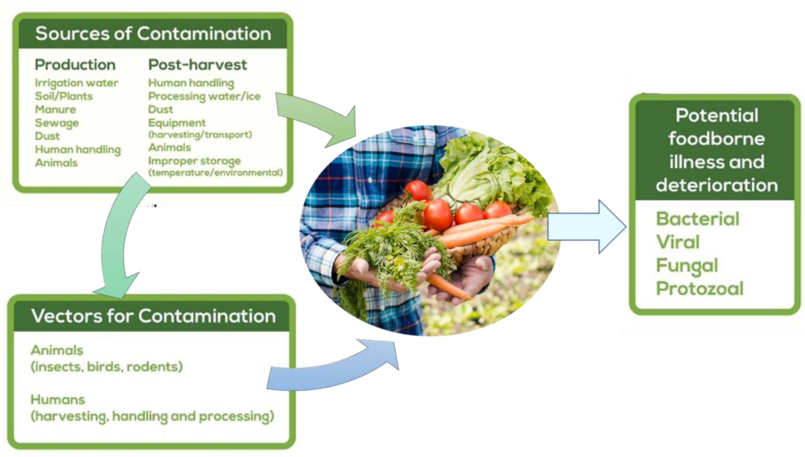Microorganisms 11 02990 g002