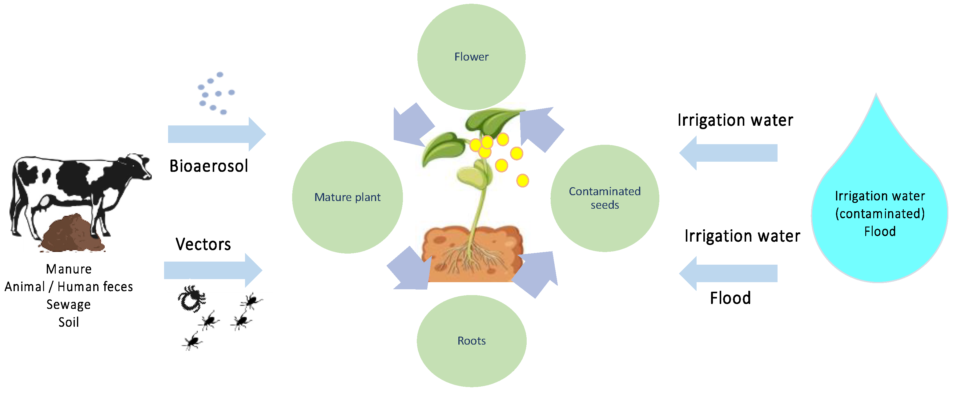 Microorganisms 11 02990 g004