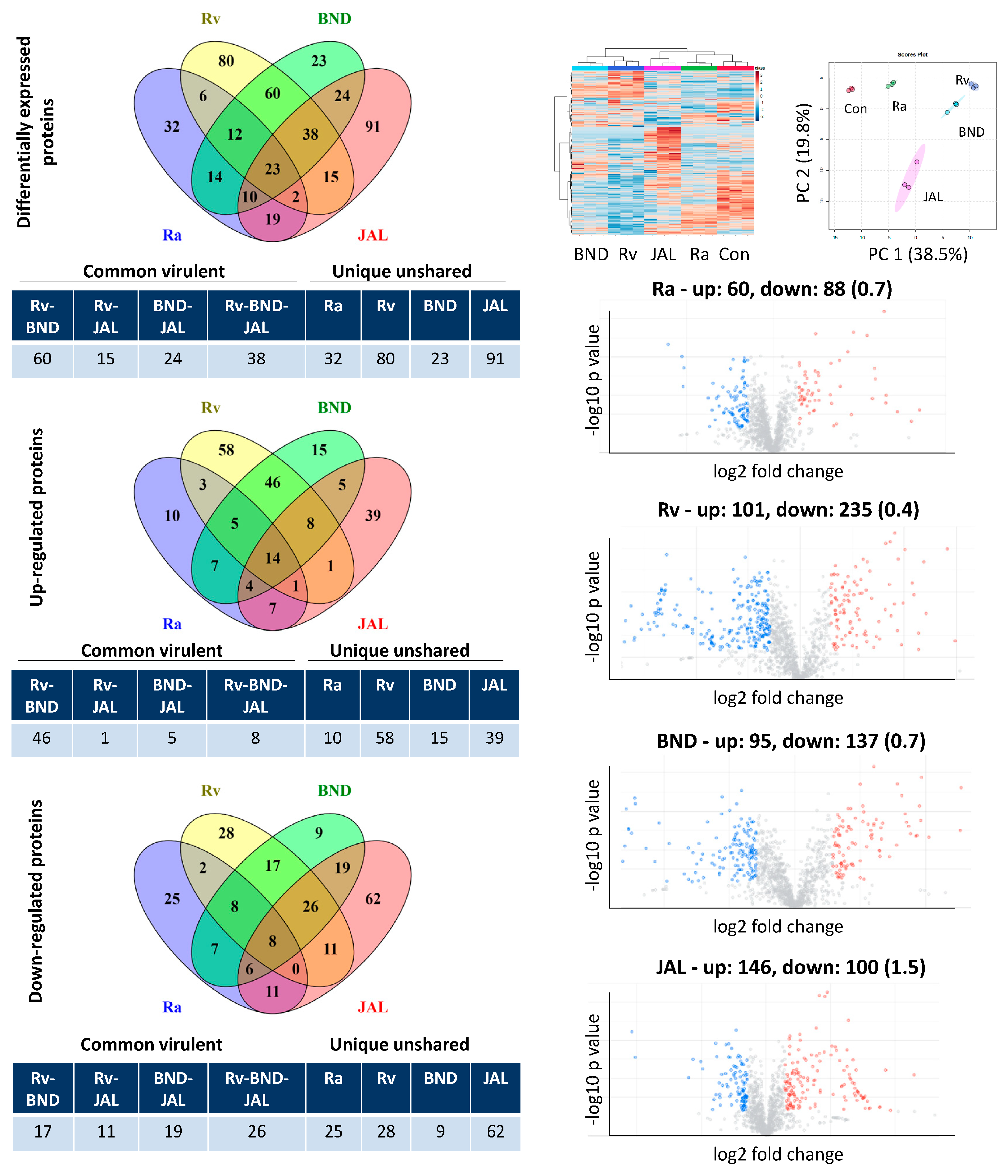 Microorganisms 11 02998 g001