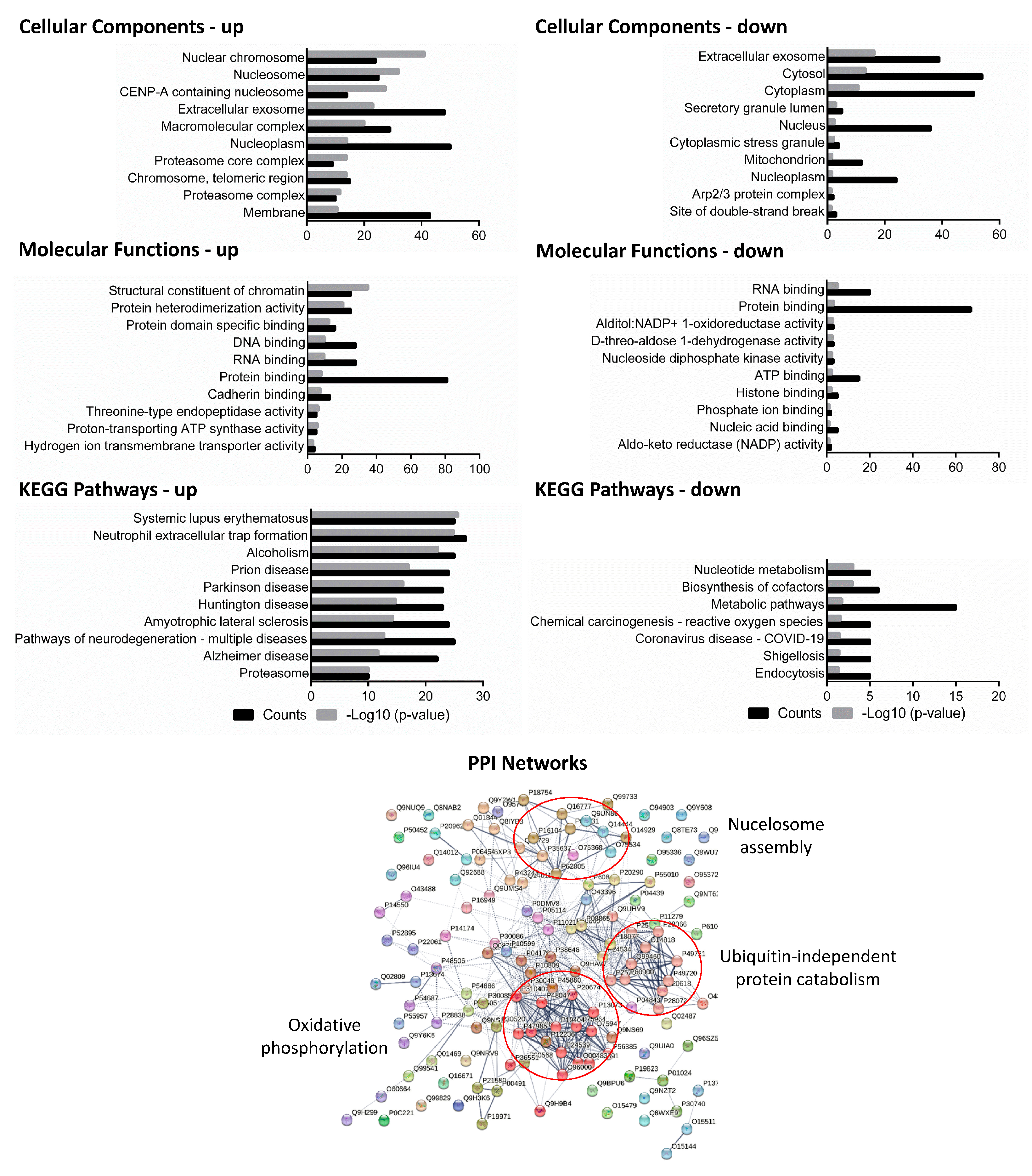 Microorganisms 11 02998 g003