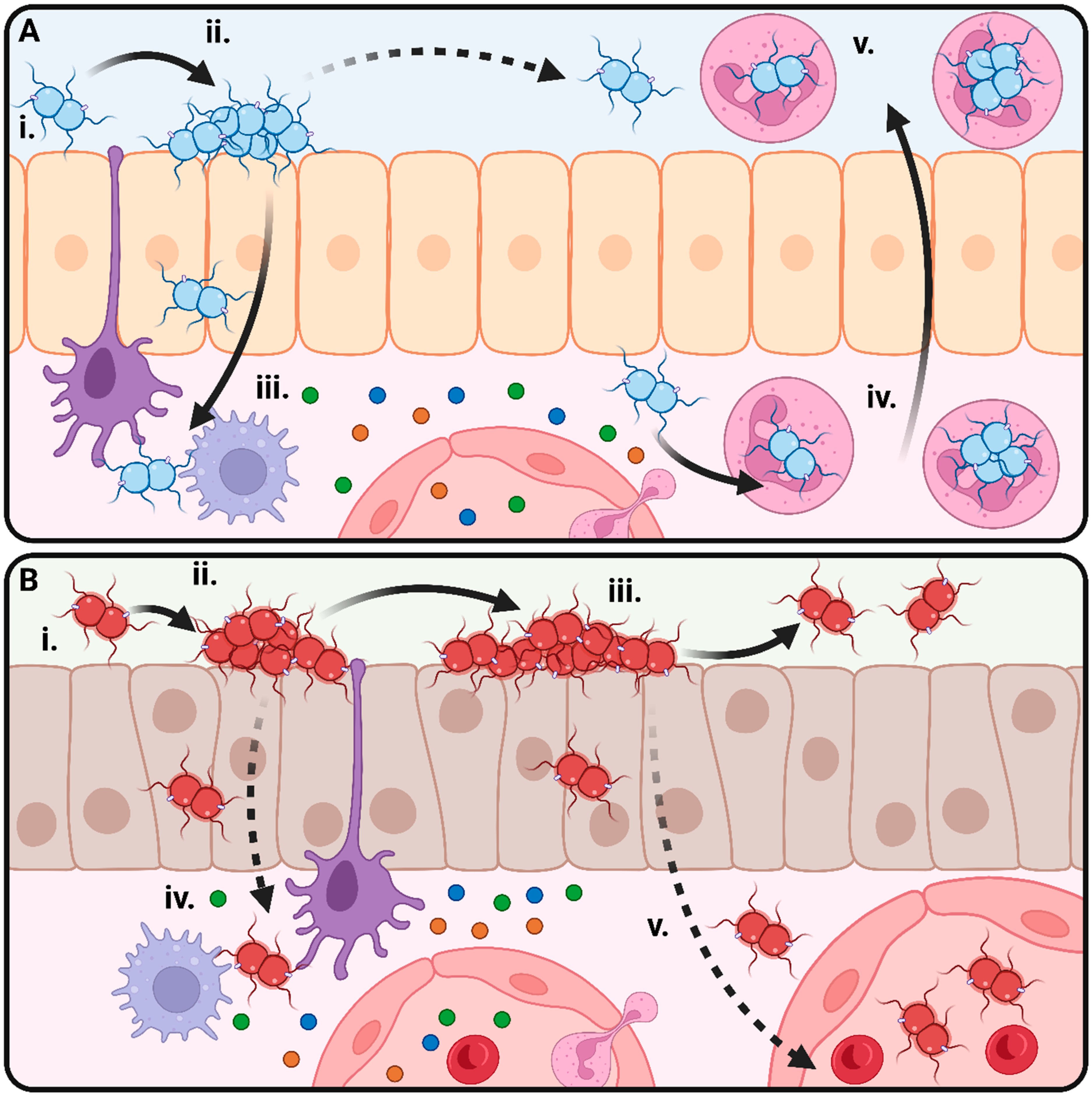 Microorganisms 11 03005 g001
