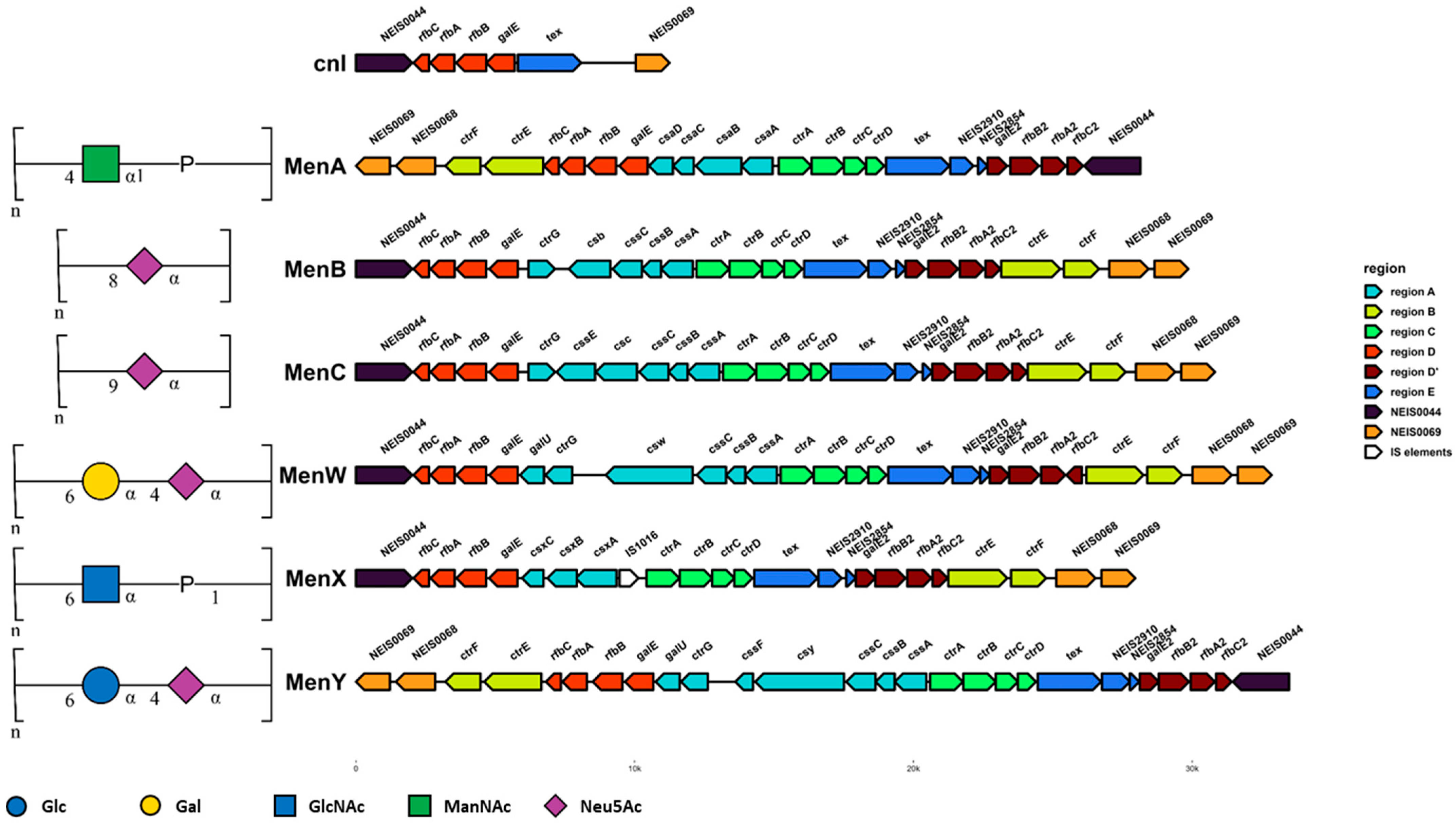 Microorganisms 11 03005 g002