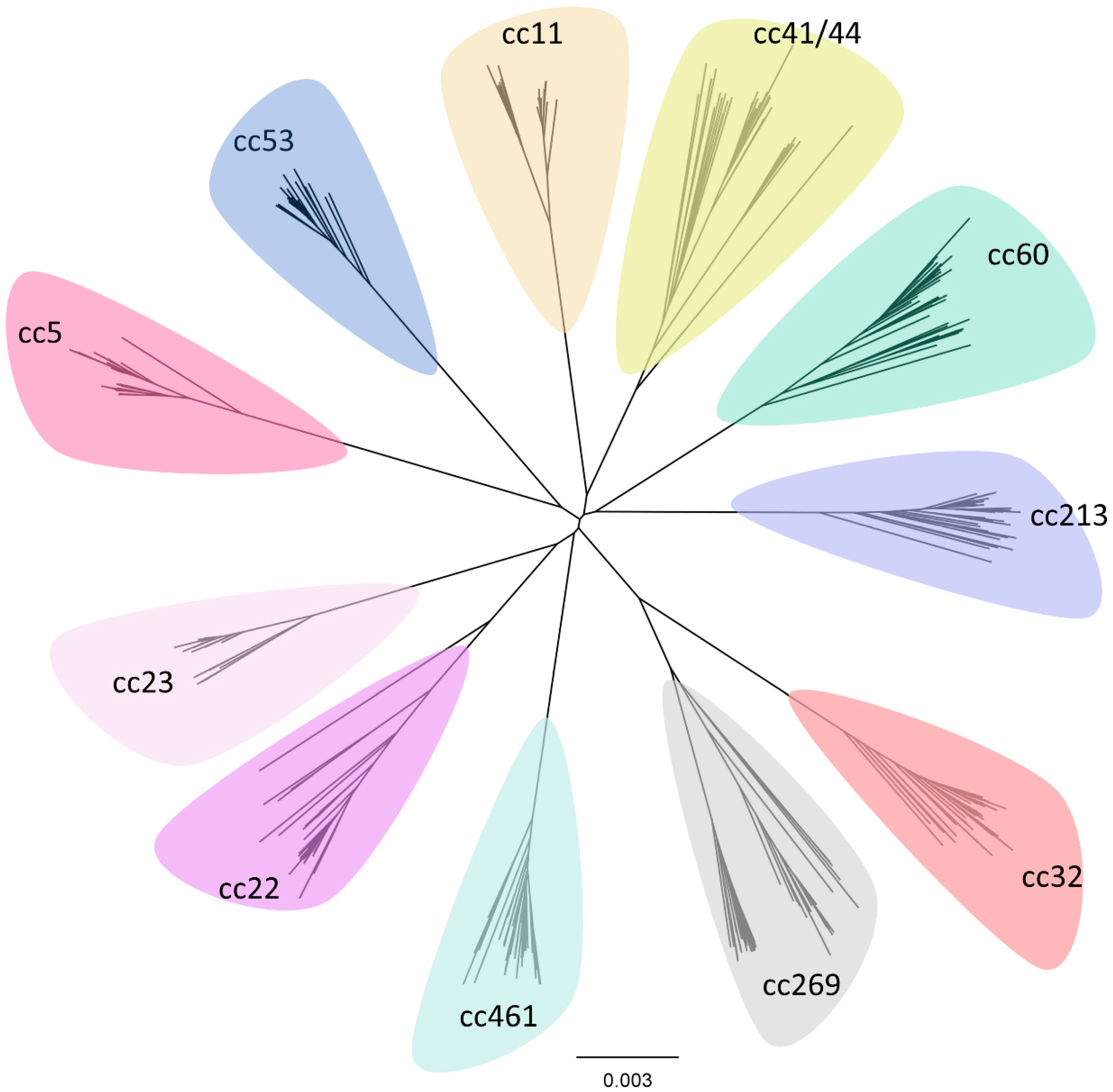 Microorganisms 11 03005 g004