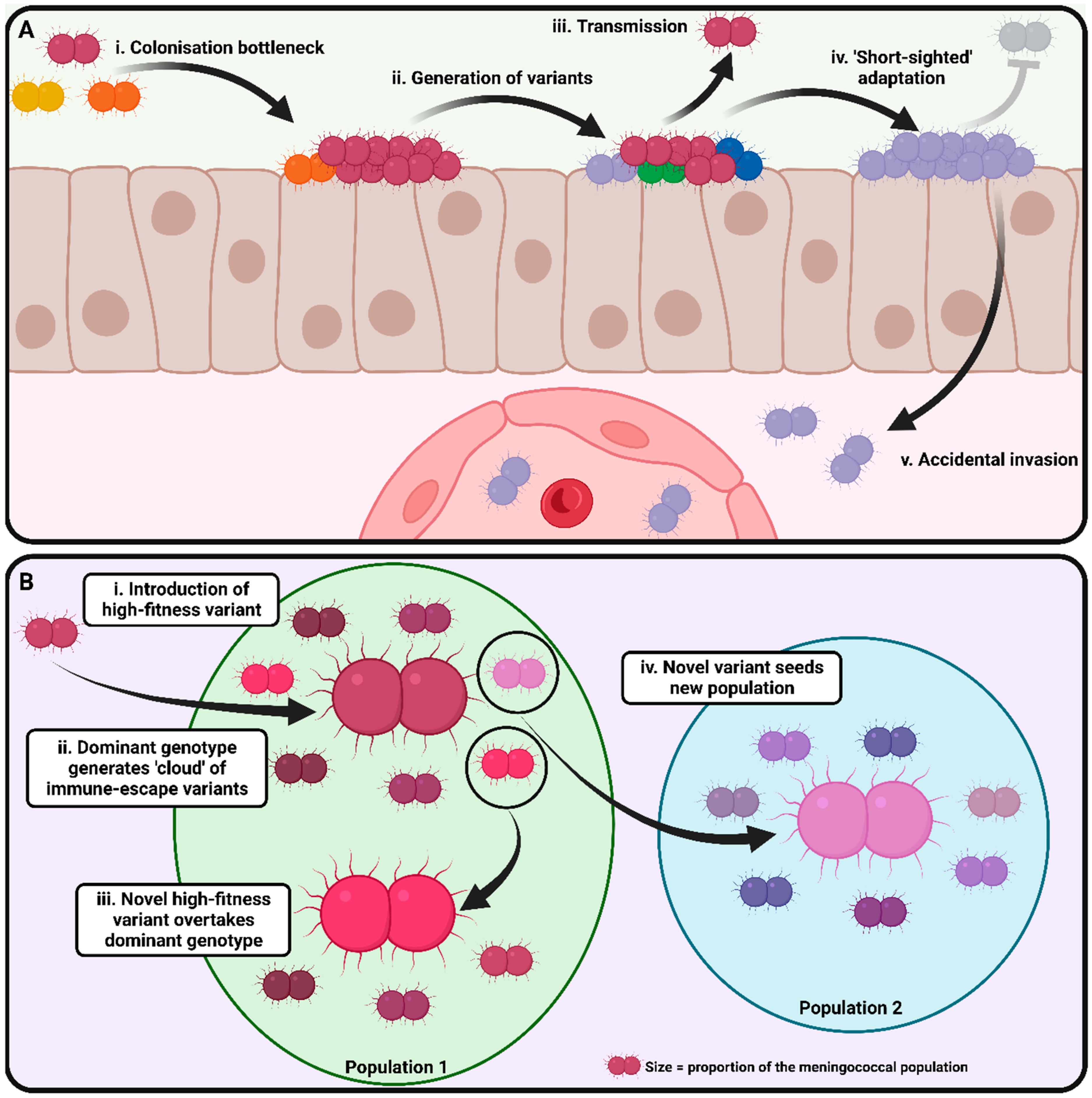 Microorganisms 11 03005 g005