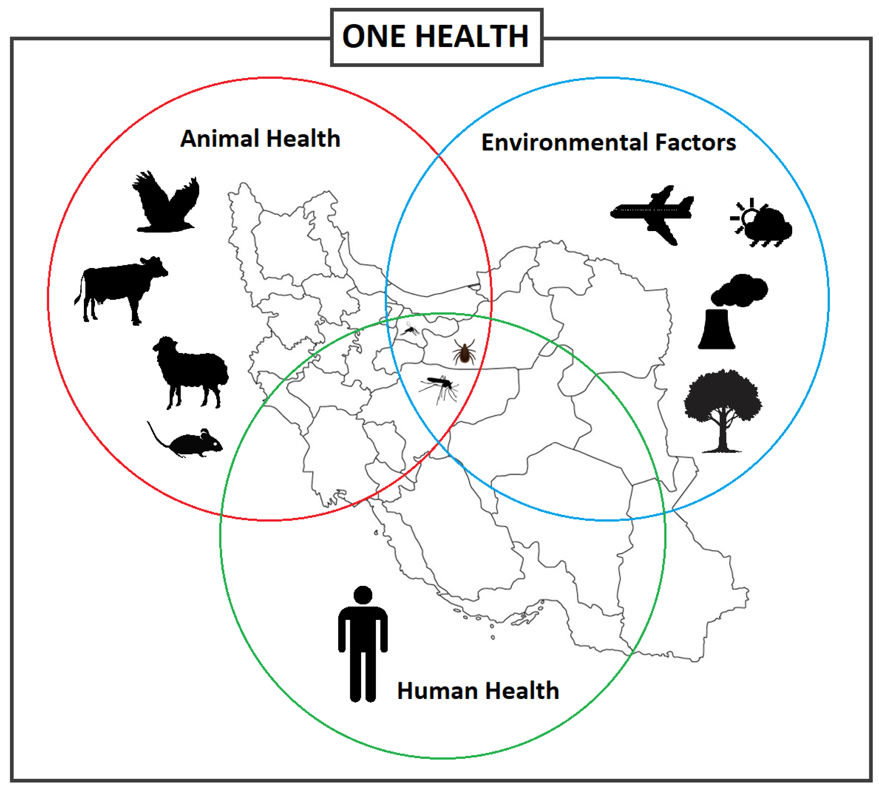Microorganisms 11 03006 g001