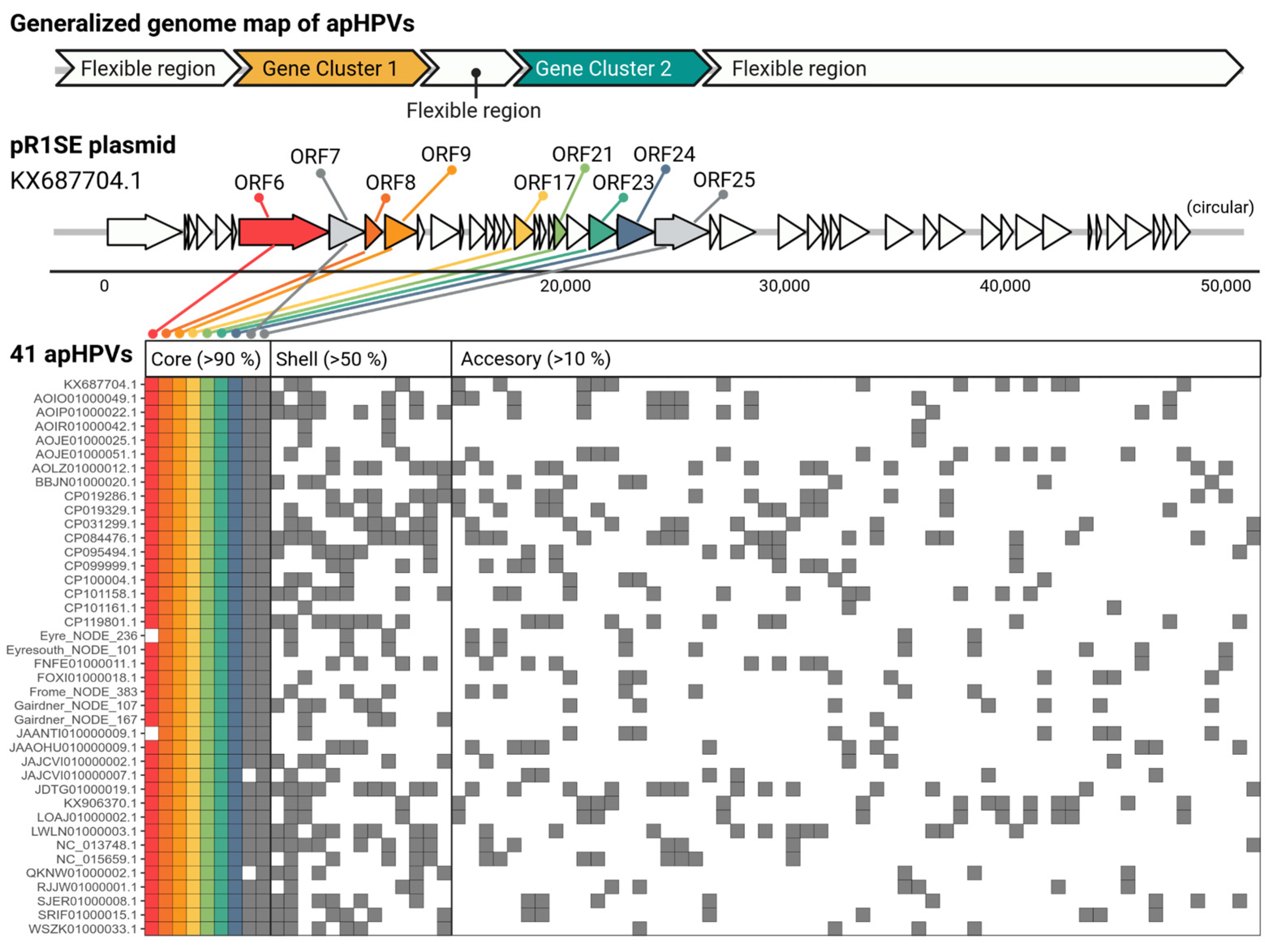 Microorganisms 12 00005 g001