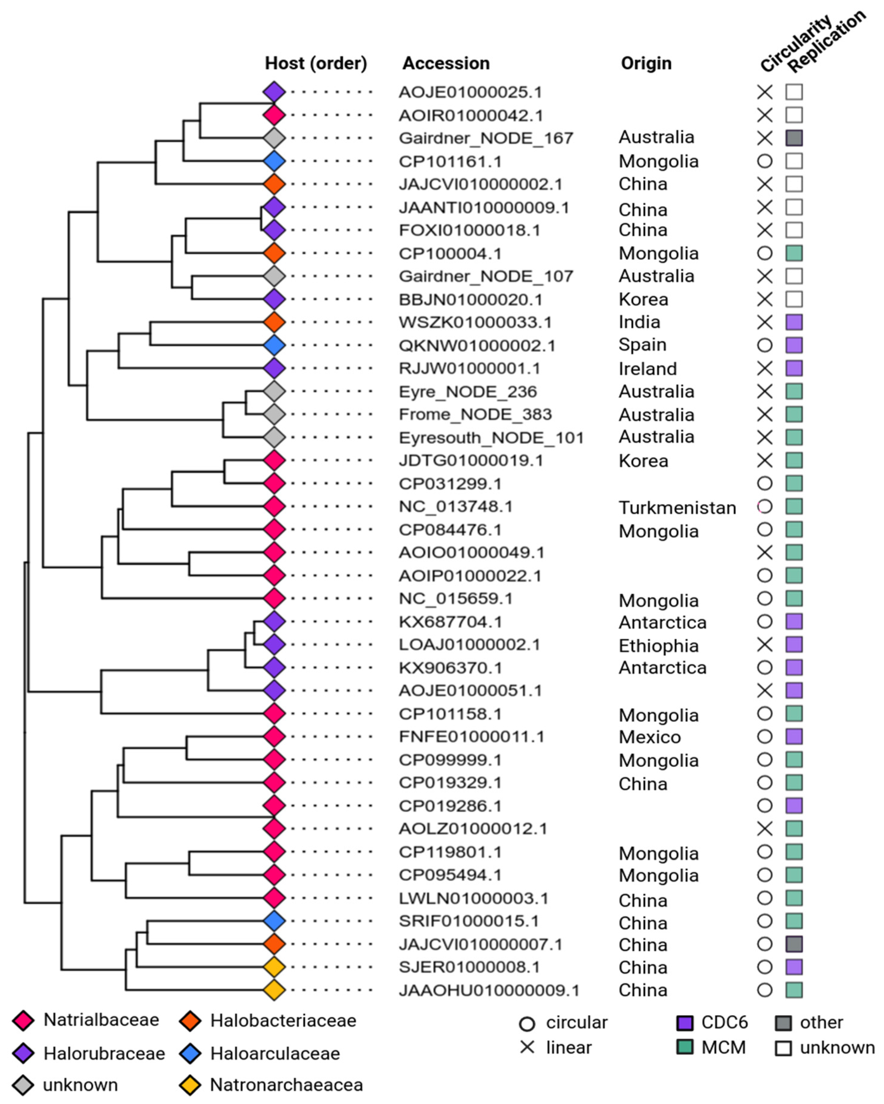 Microorganisms 12 00005 g002