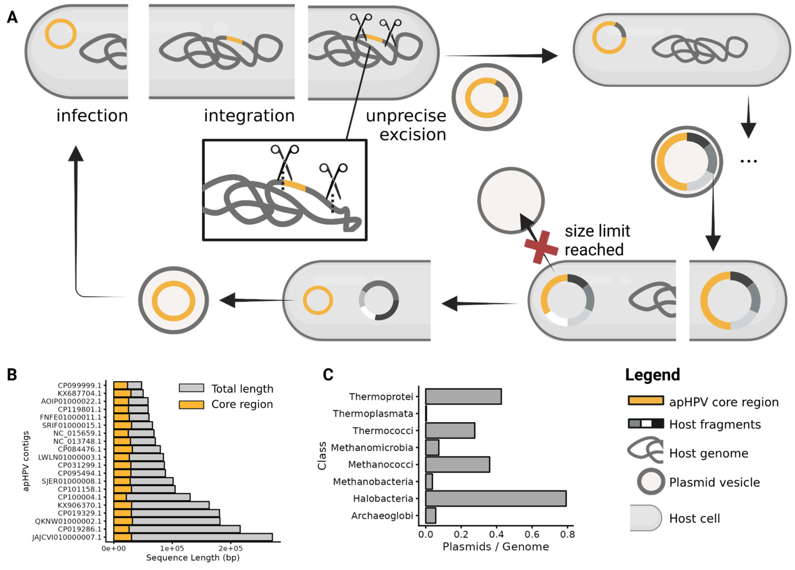 Microorganisms 12 00005 g005