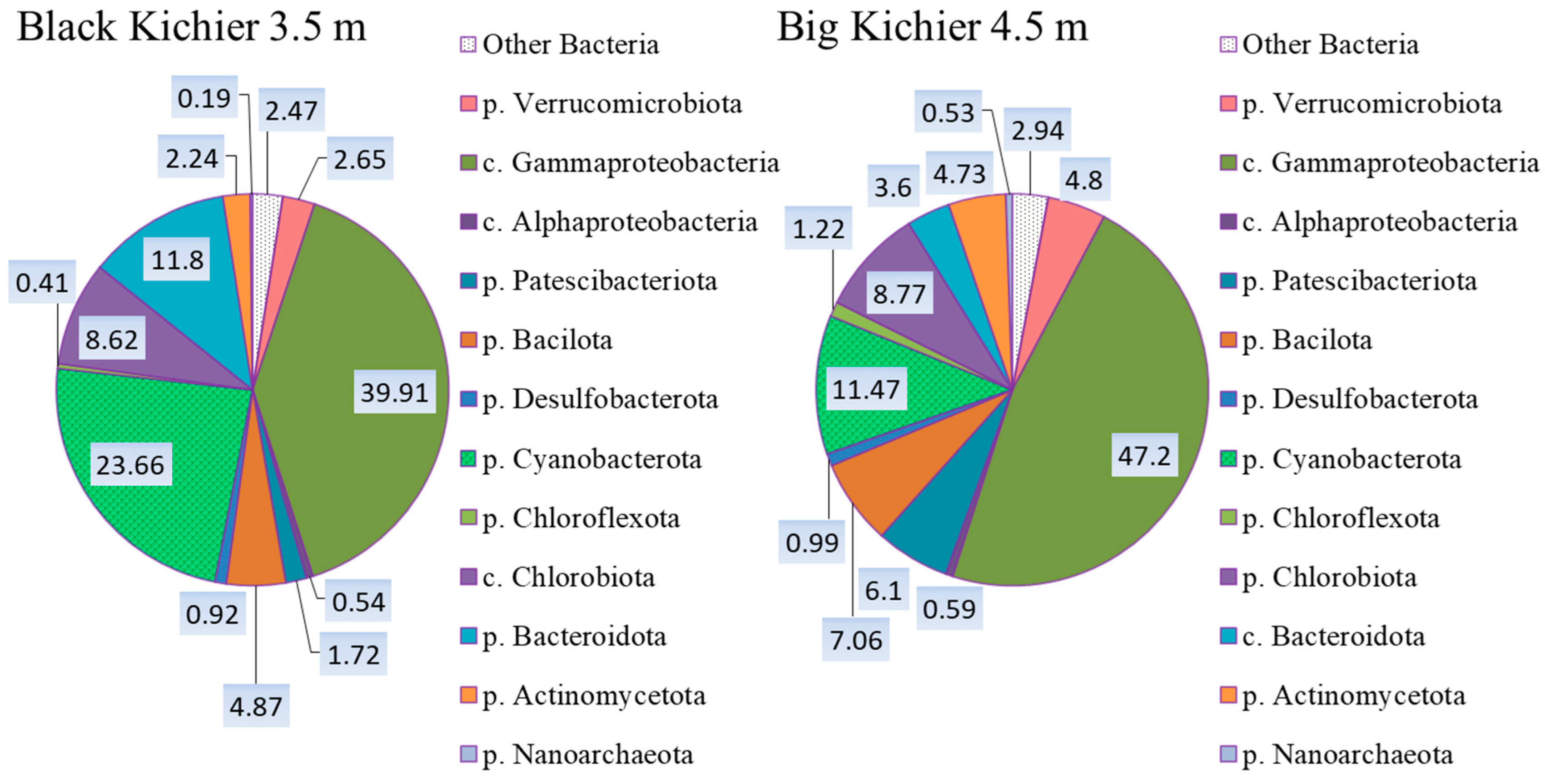 Microorganisms 12 00013 g004 Microorganisms 12 00013 g004