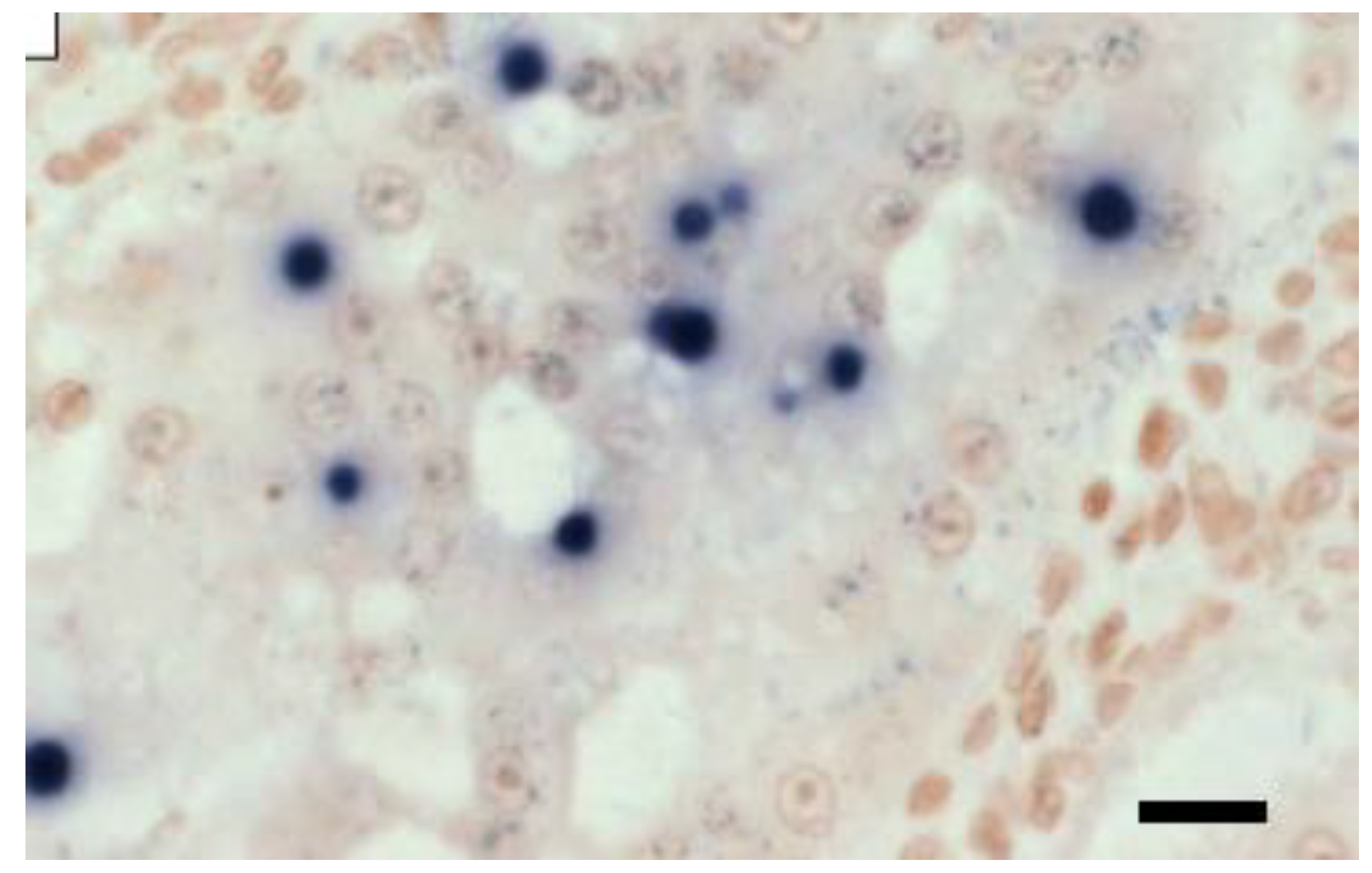 Microorganisms 12 00021 g002