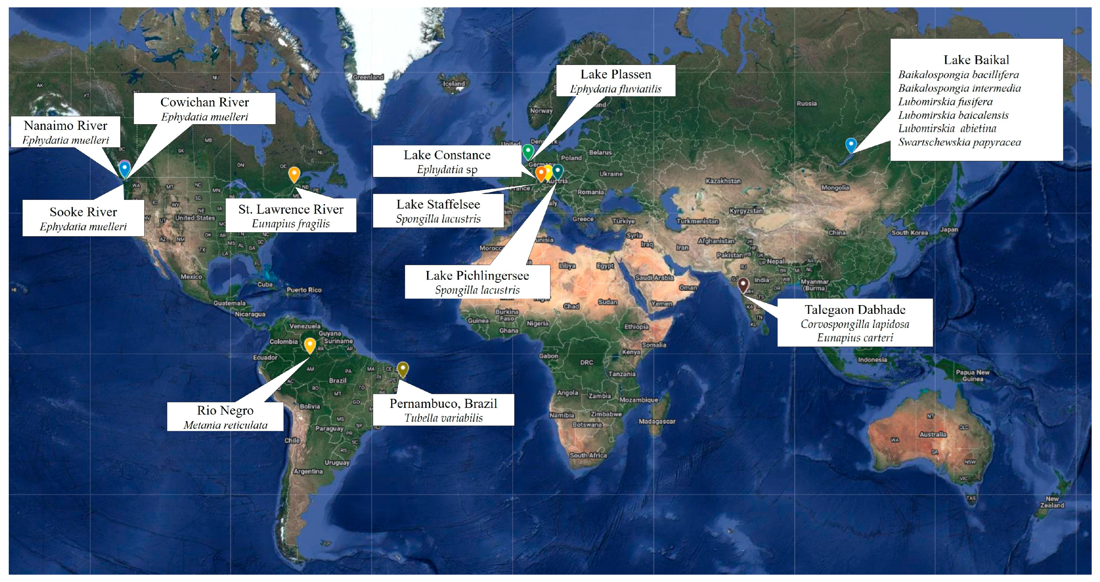 Microorganisms 12 00025 g003