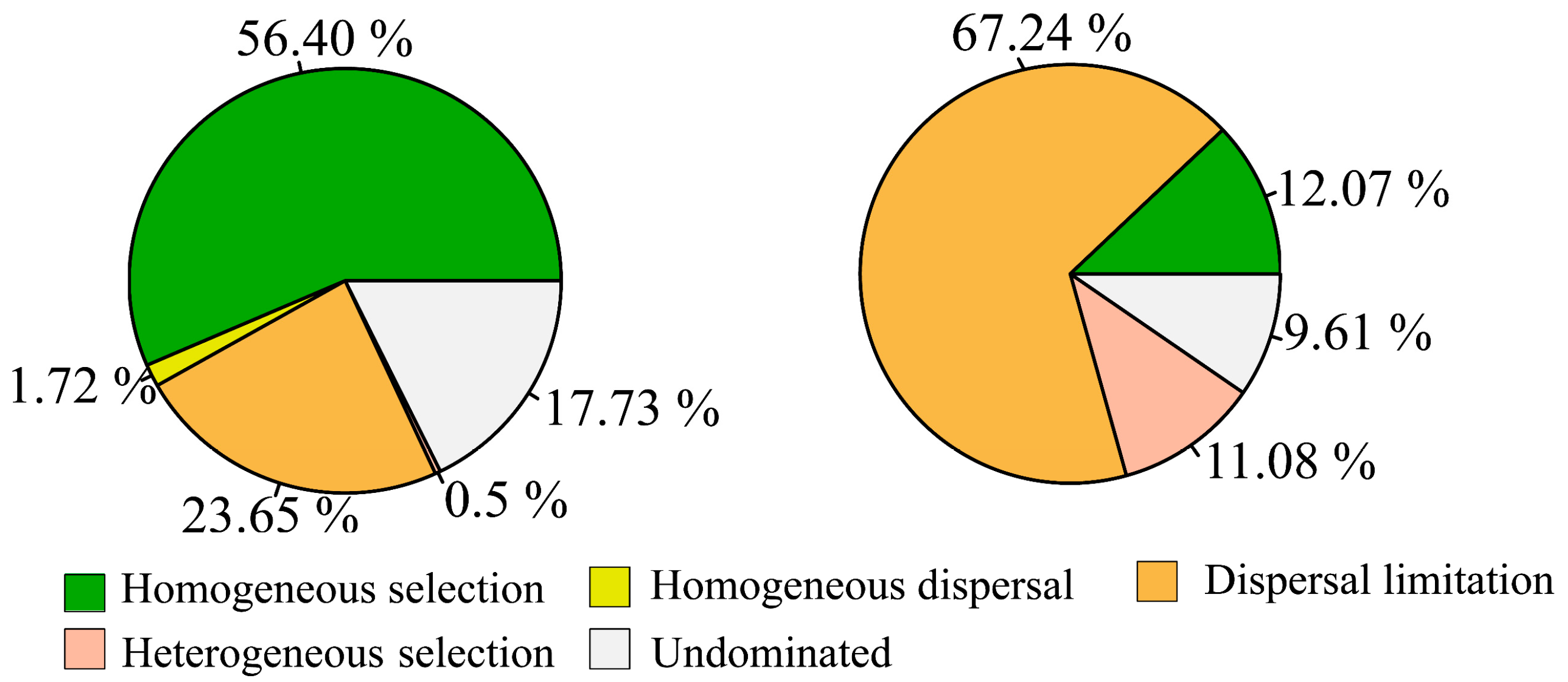 Microorganisms 12 00032 g006