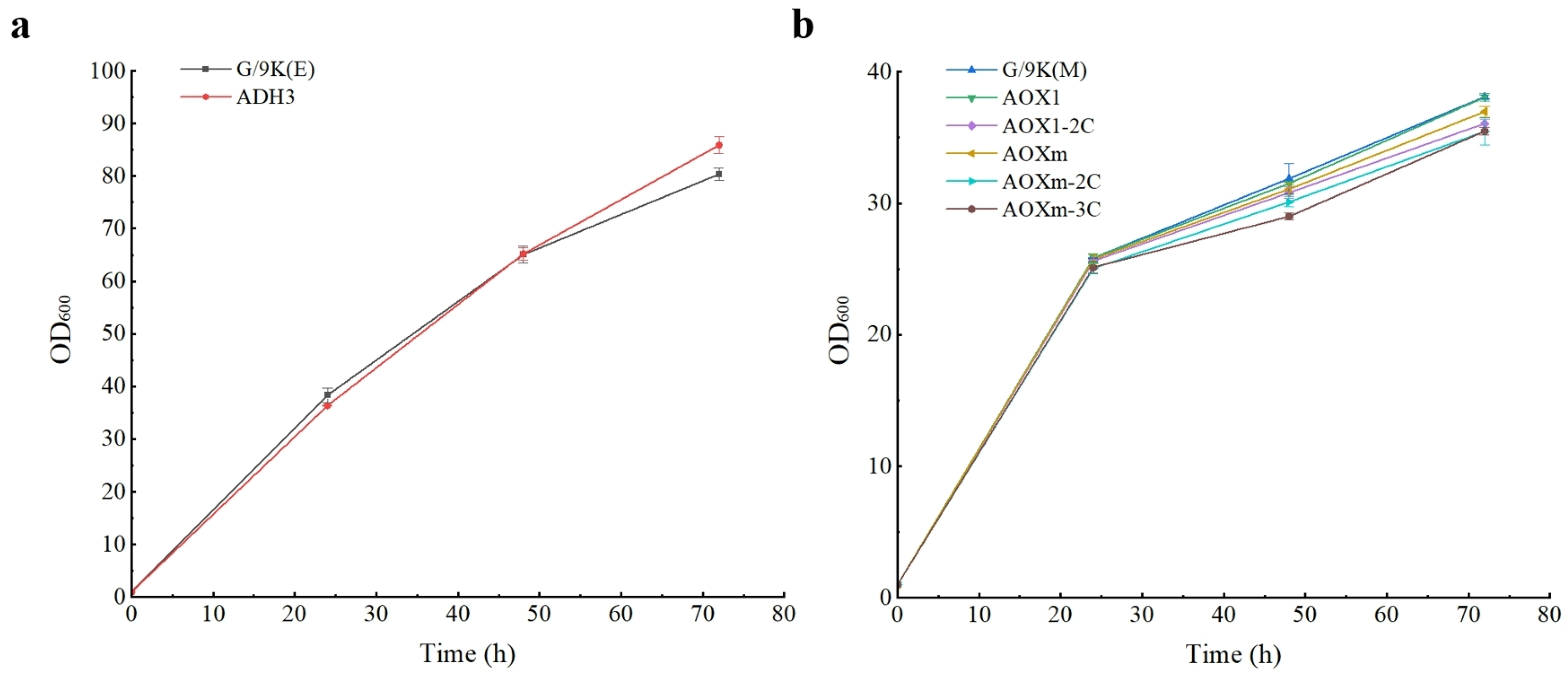 Microorganisms 12 00038 g003