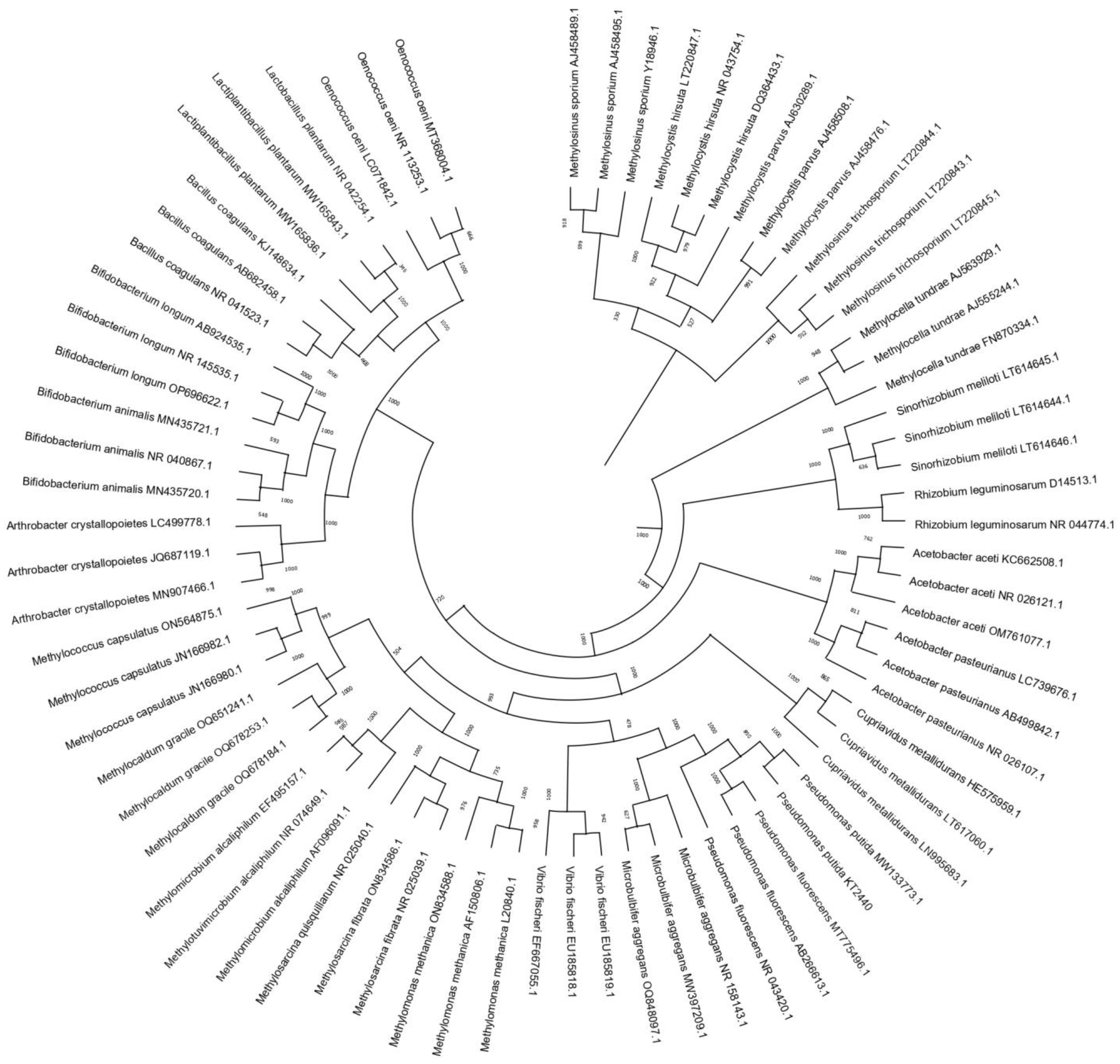 Microorganisms 12 00039 g002