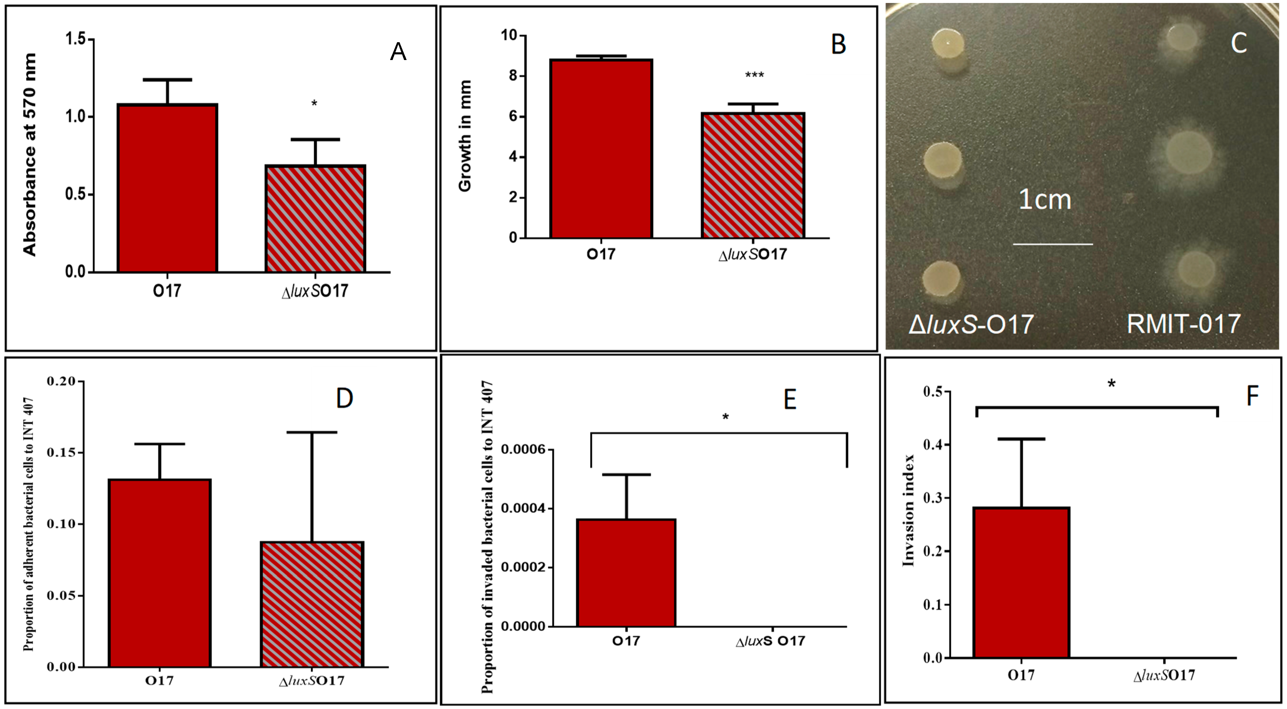 Microorganisms 12 00046 g003
