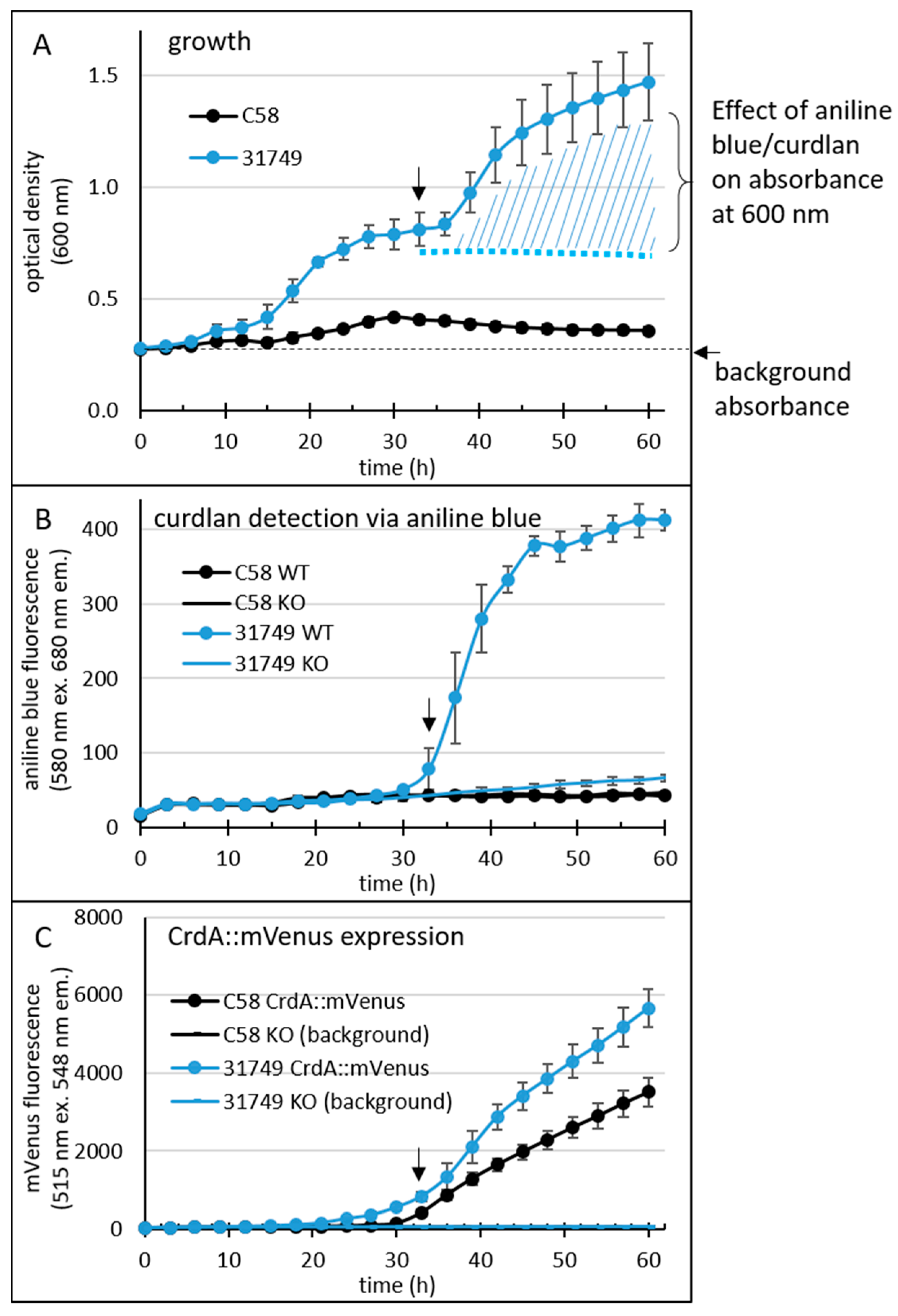 Microorganisms 12 00055 g003