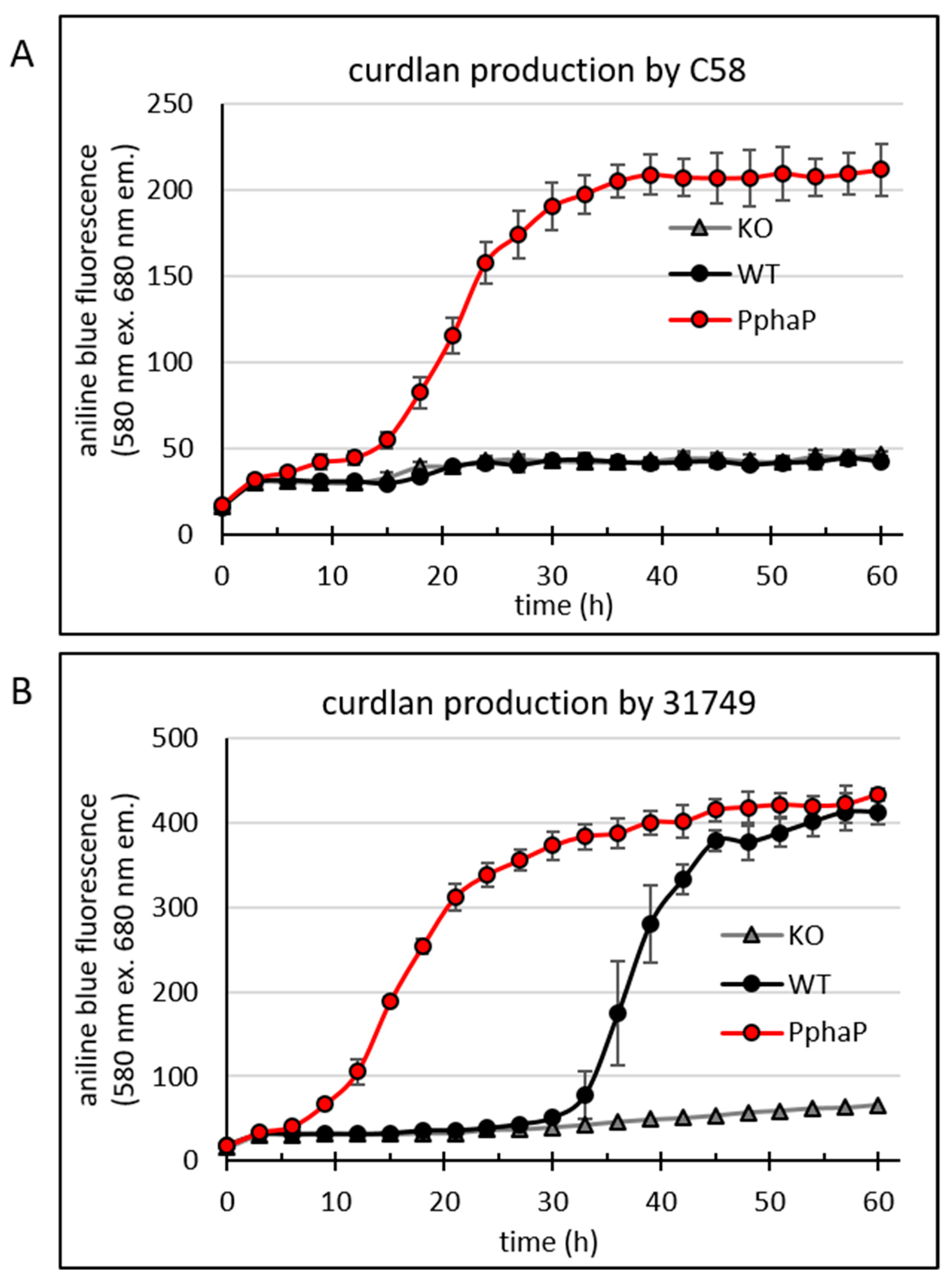 Microorganisms 12 00055 g005