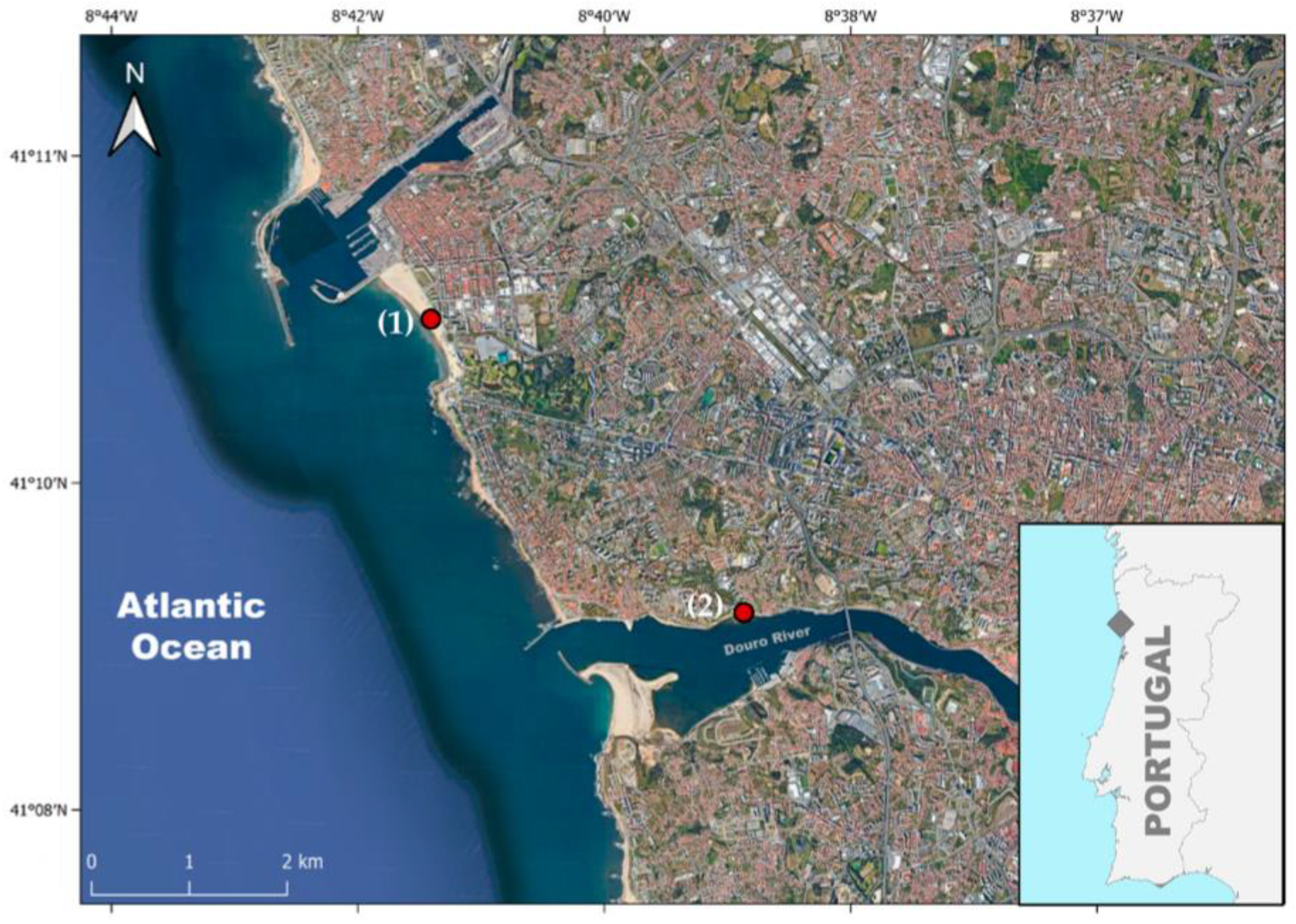 Microorganisms 12 00059 g001