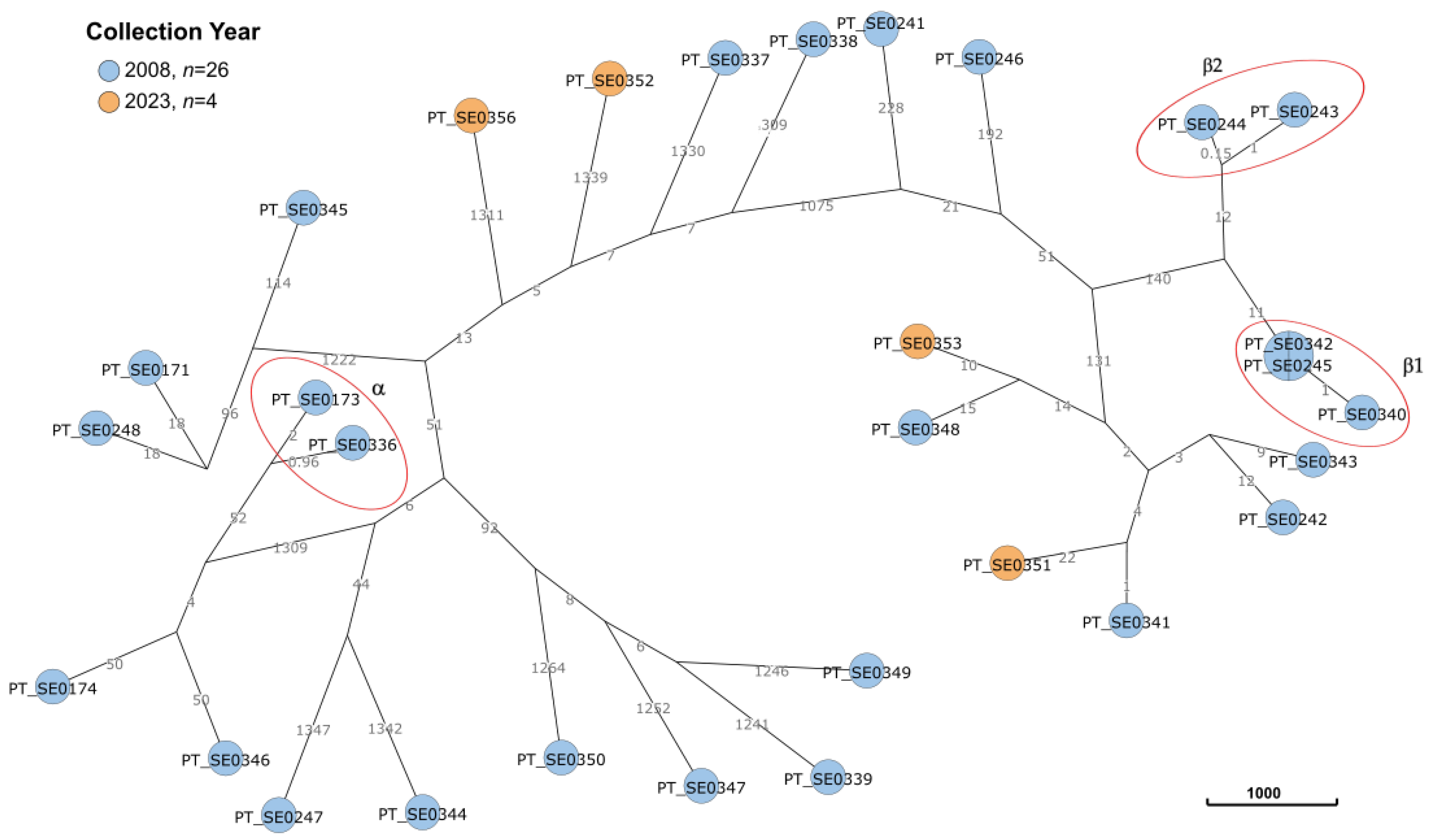 Microorganisms 12 00059 g003