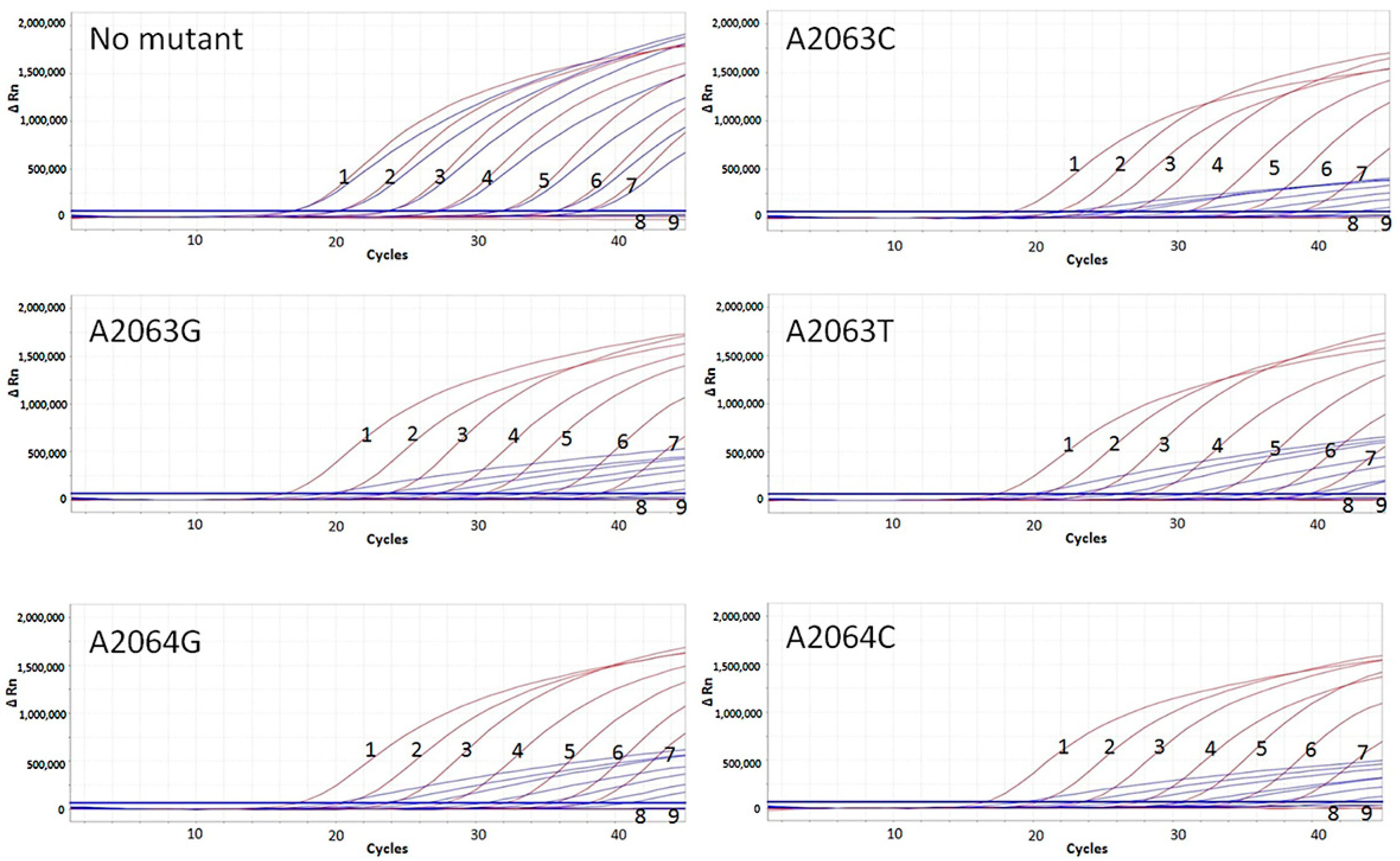 Microorganisms 12 00062 g002