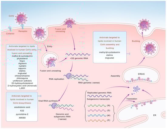 Microorganisms 12 00063 g002